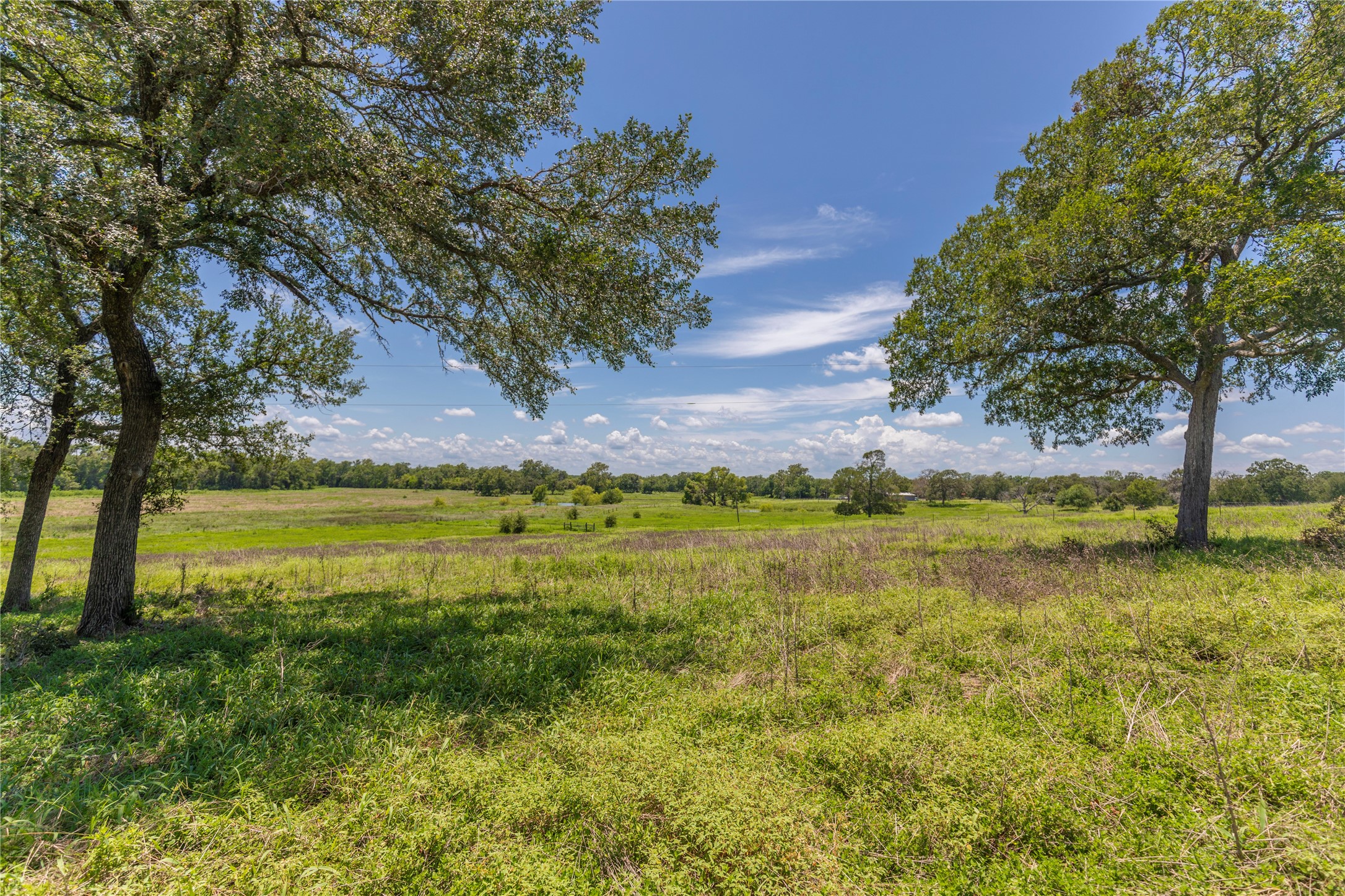 Lot 8 Mill Creek Ranch Road Property Photo 1