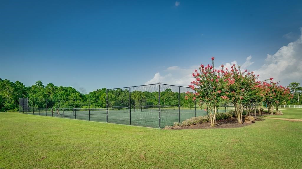 11646 Renaissance Drive Property Photo 6