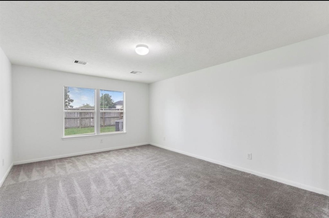 16119 Peach Bluff Lane Property Photo 13