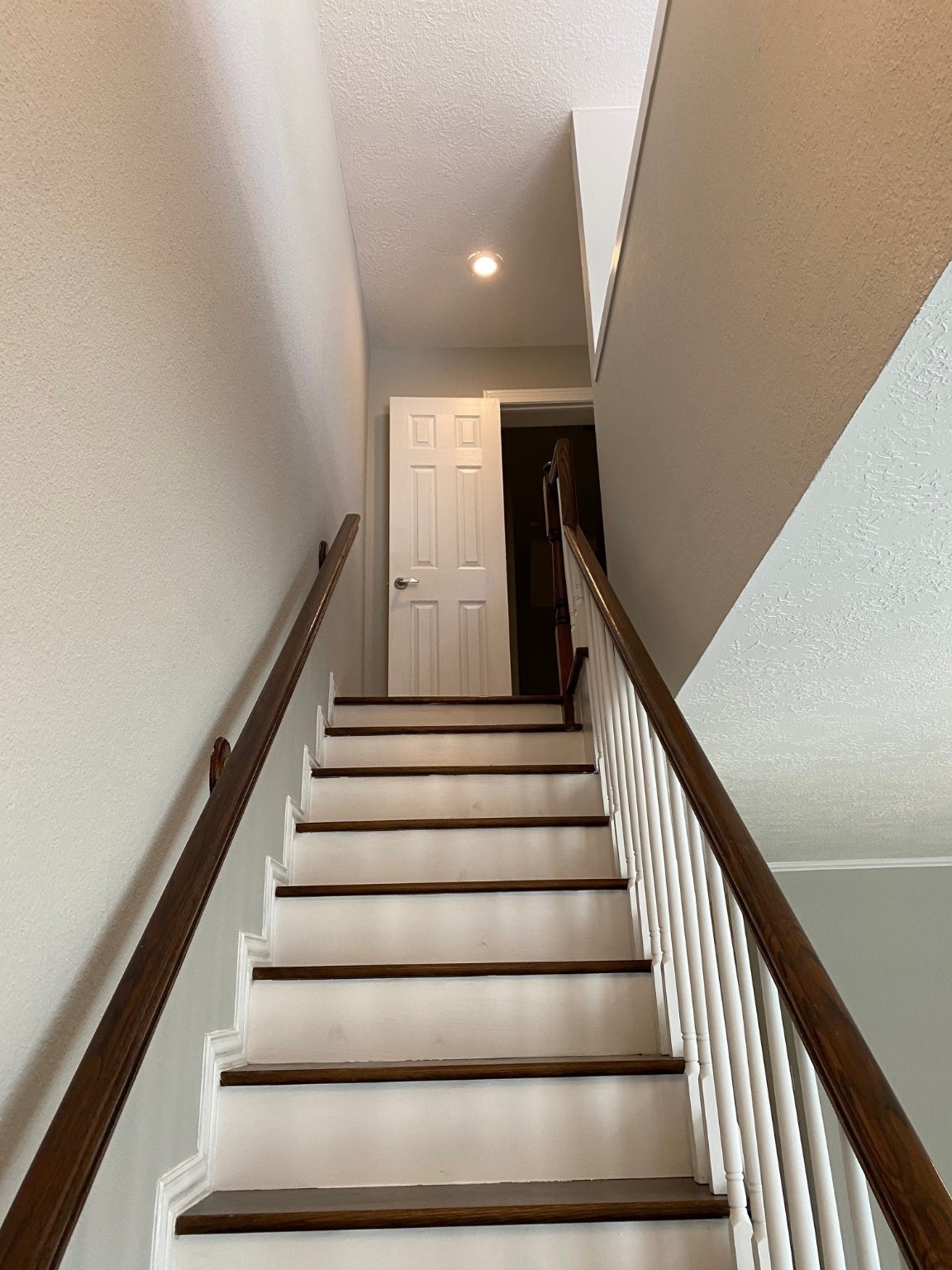 12843 Briarwest Circle Property Photo 19