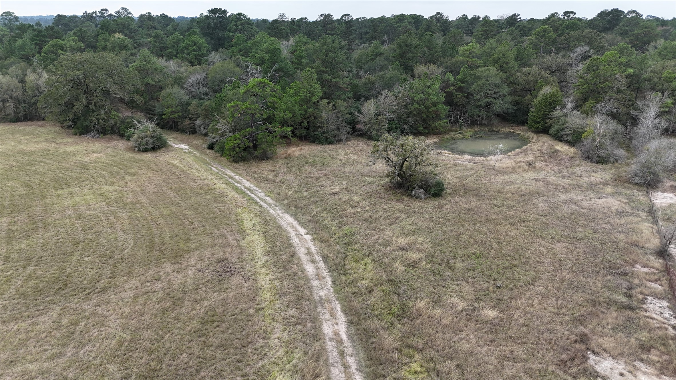 Tbd Tract 1 Percy Howard Road Property Photo 4