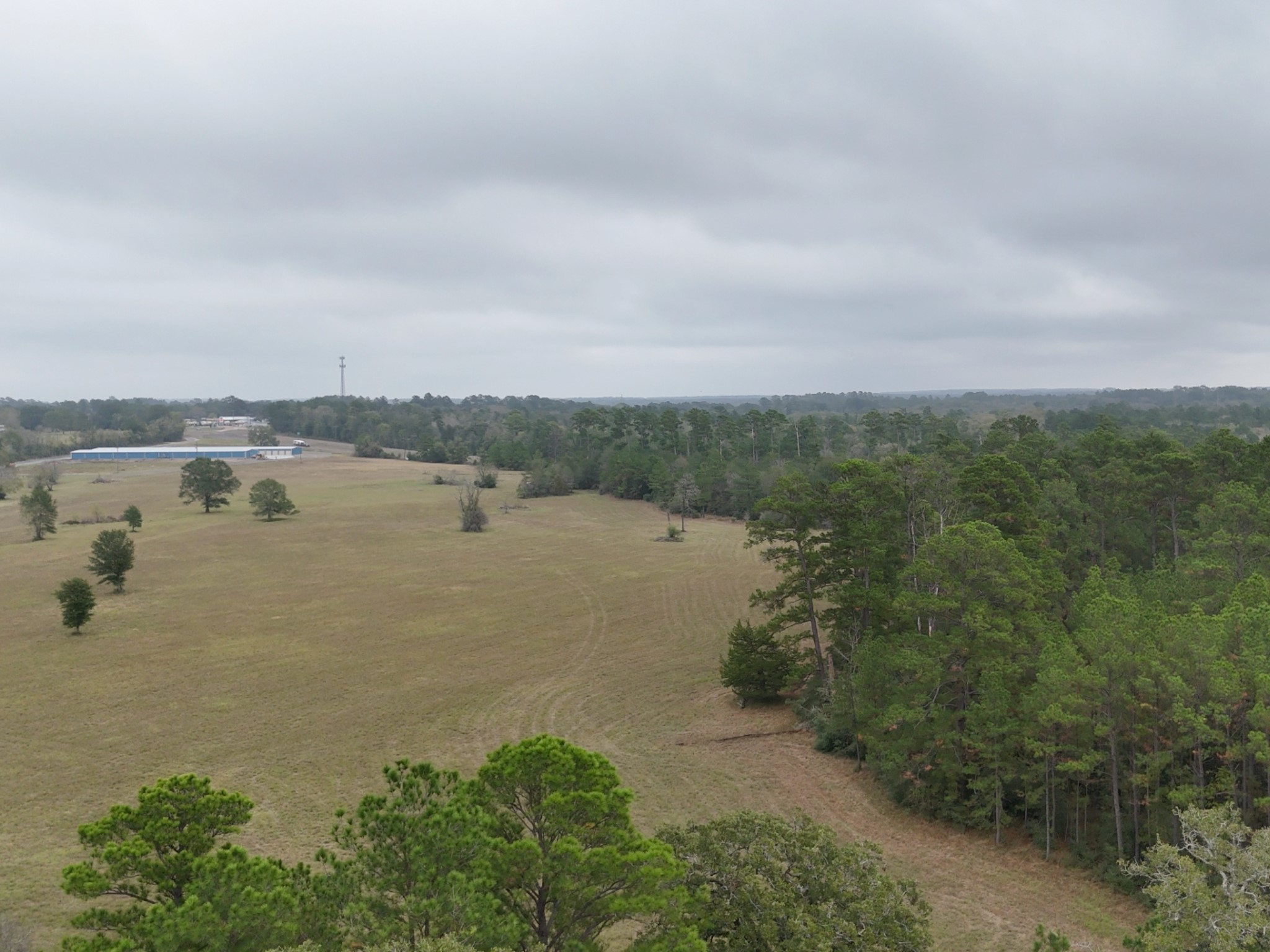 Tbd Tract 1 Percy Howard Road Property Photo 6