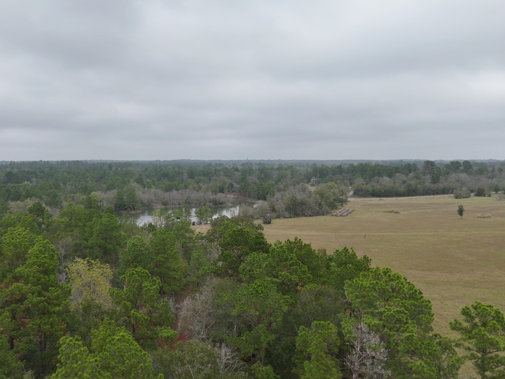 Tbd Tract 1 Percy Howard Road Property Photo 7