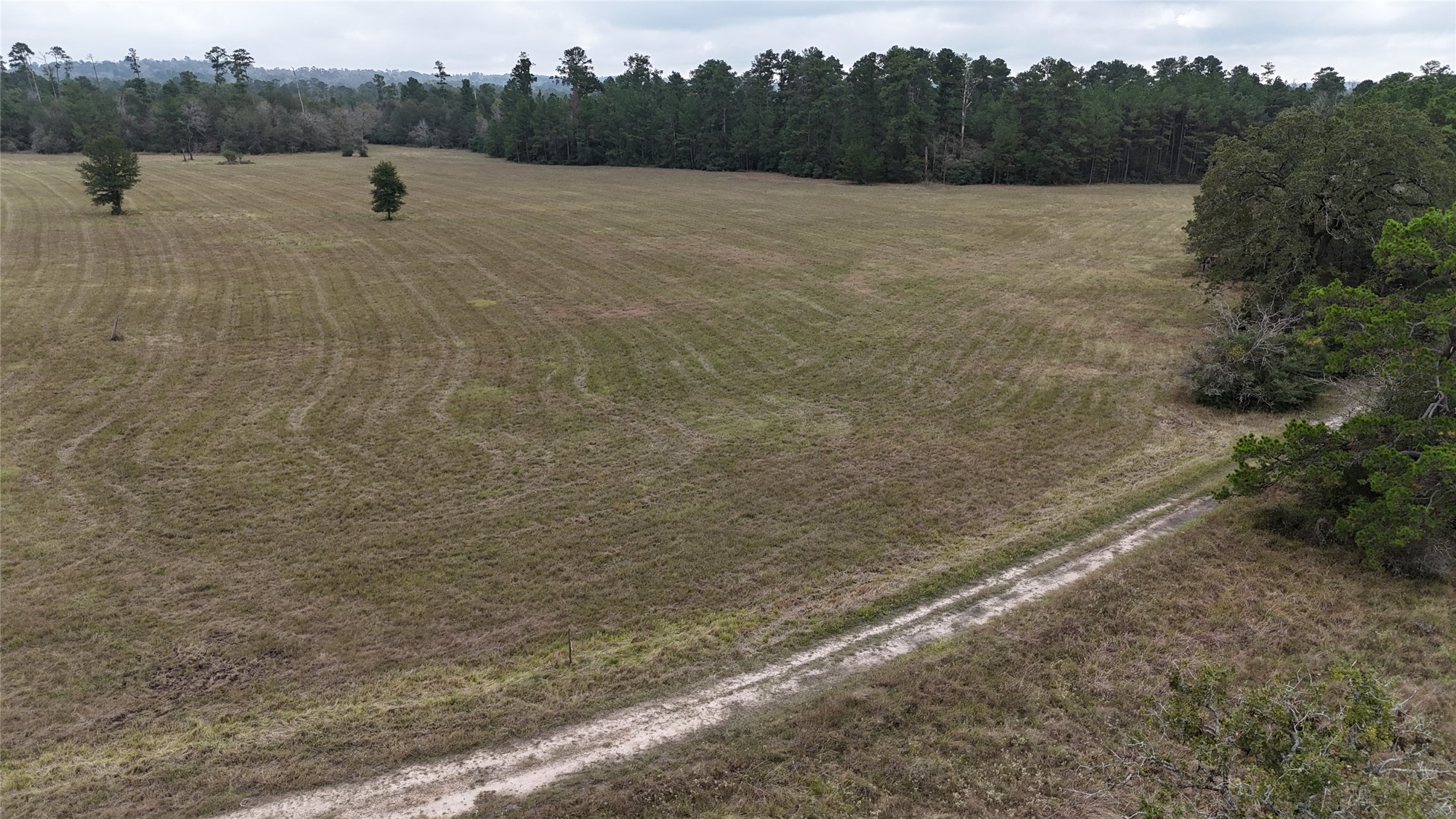 Tbd Tract 1 Percy Howard Road Property Photo 8