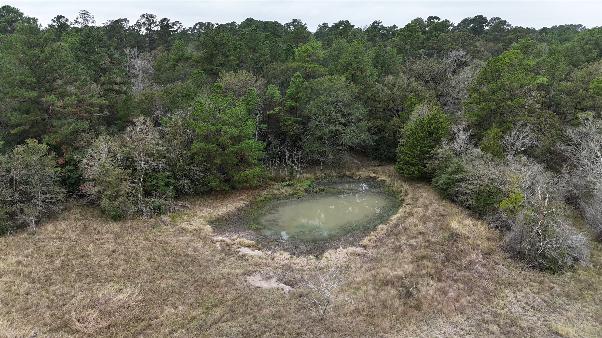 Tbd Tract 1 Percy Howard Road Property Photo 10