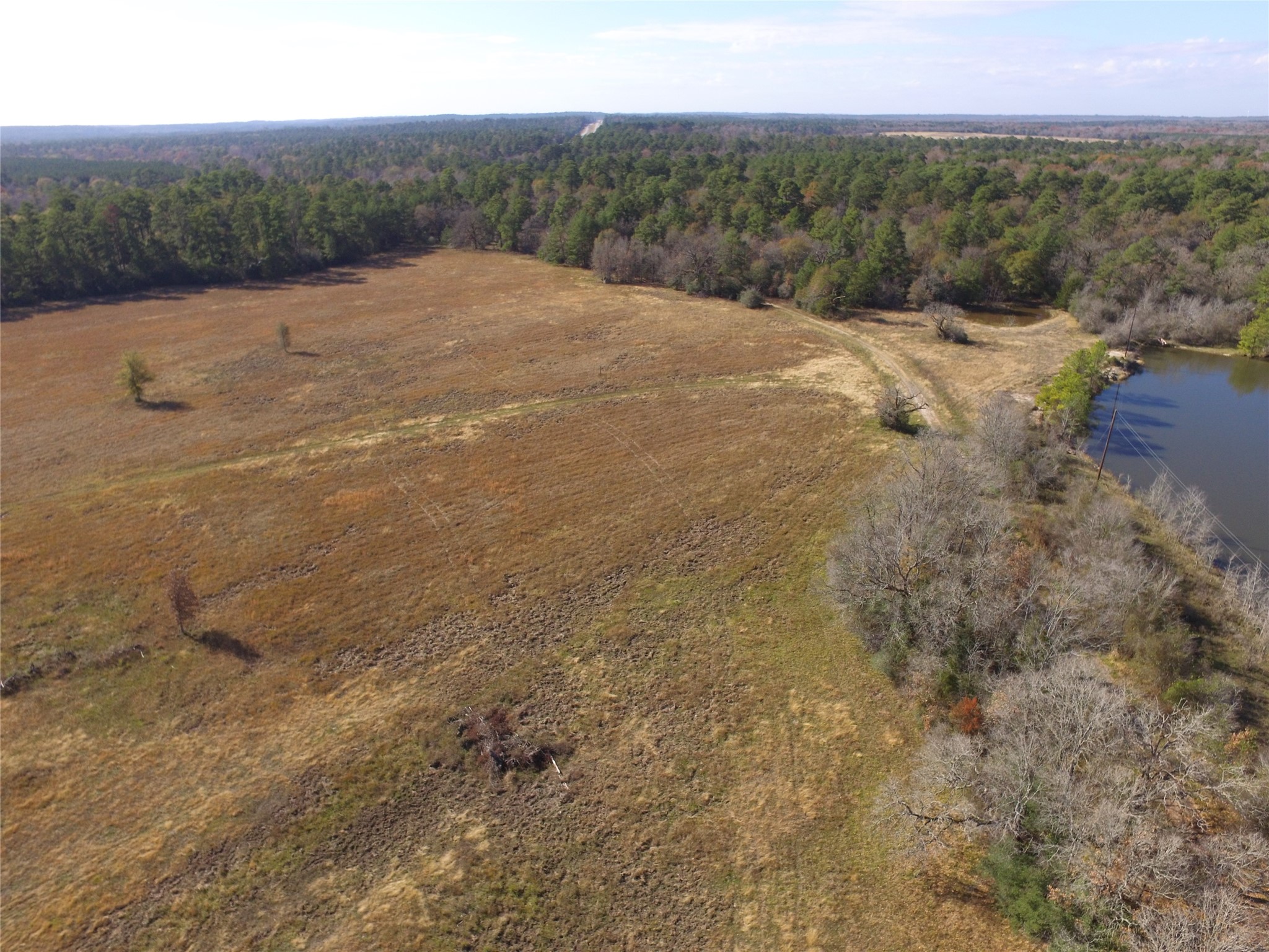 Tbd Tract 1 Percy Howard Road Property Photo 11