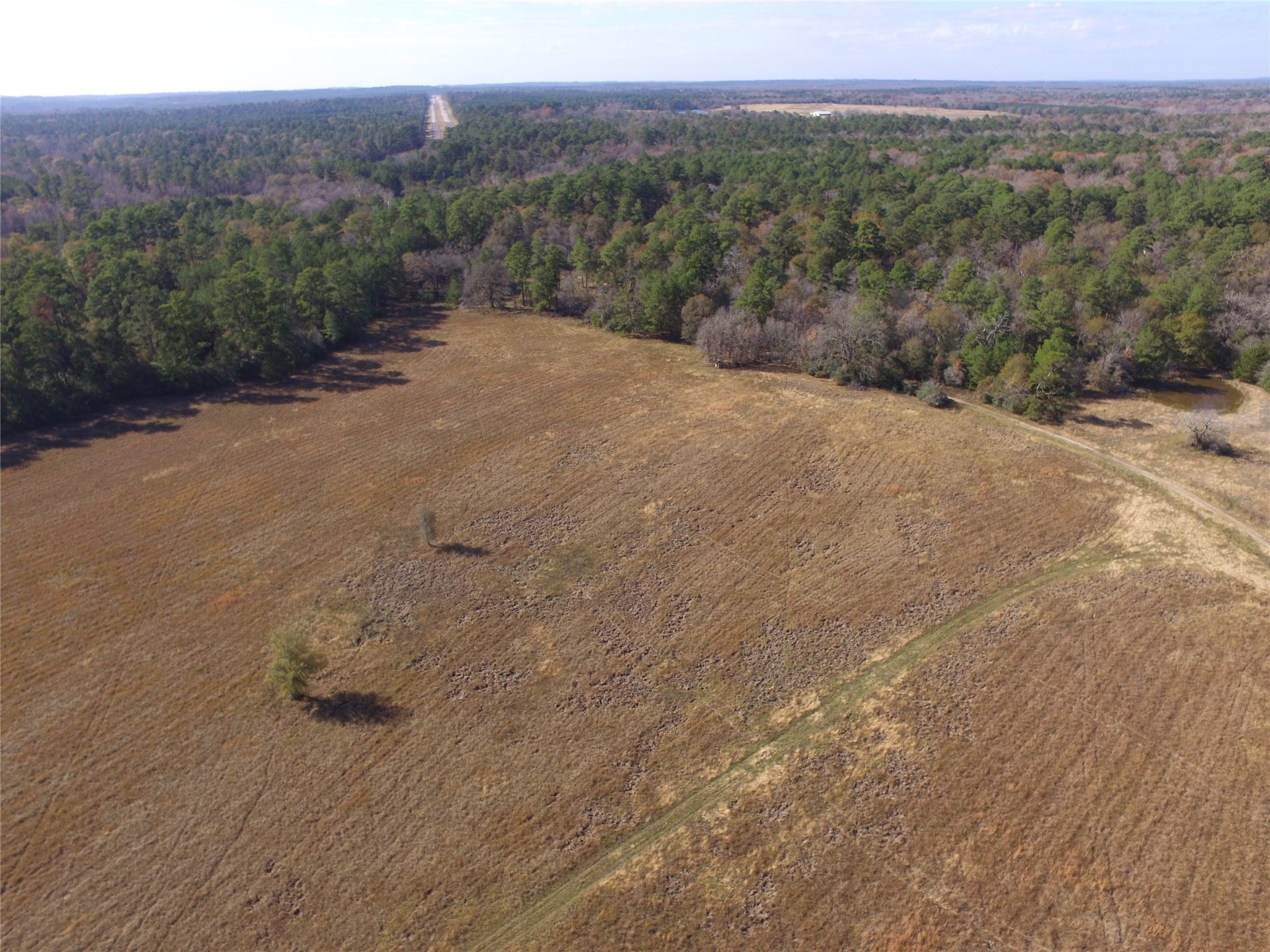 Tbd Tract 1 Percy Howard Road Property Photo 12