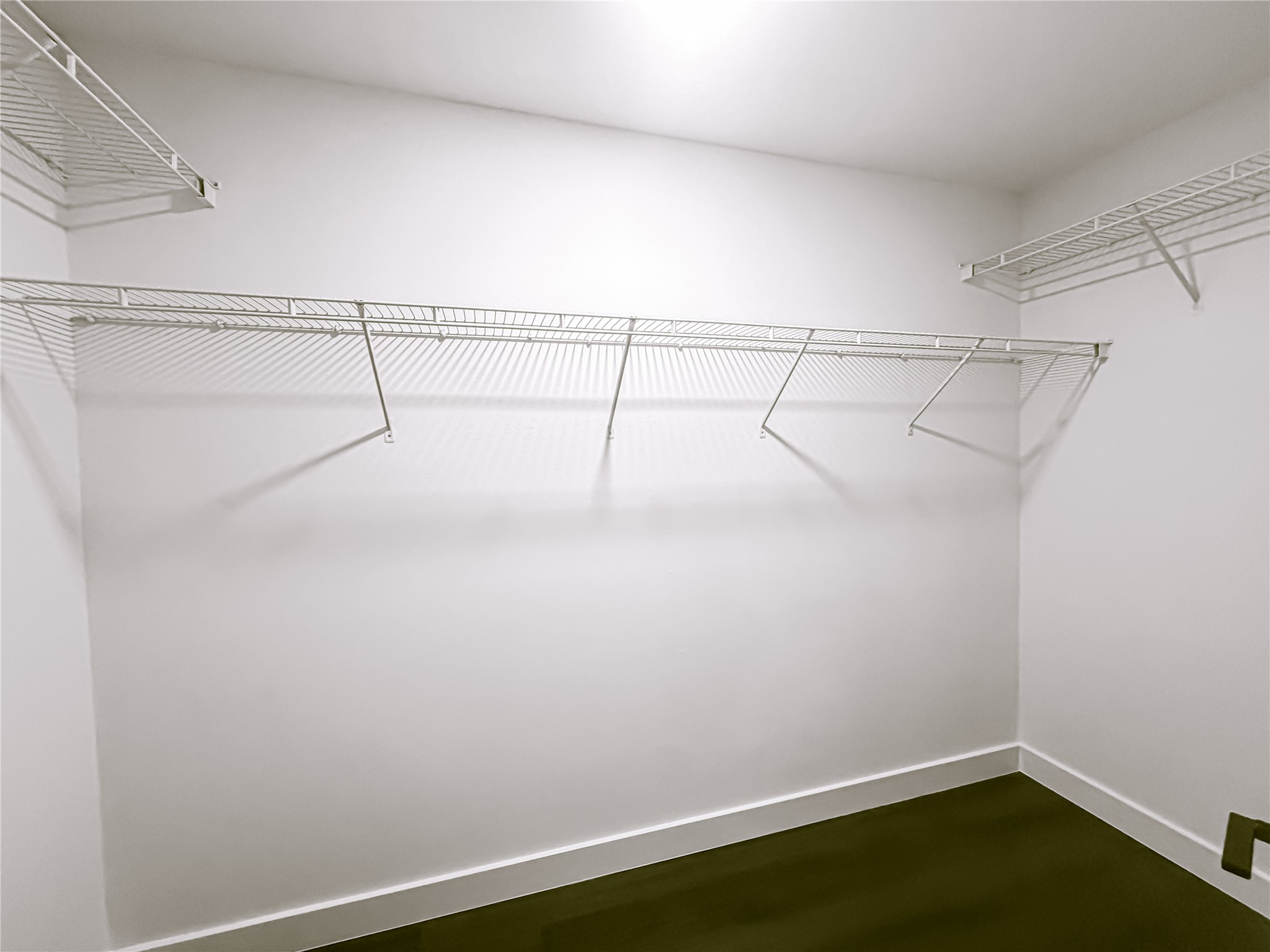 2106 Lakeshore Forest Court Property Photo 25