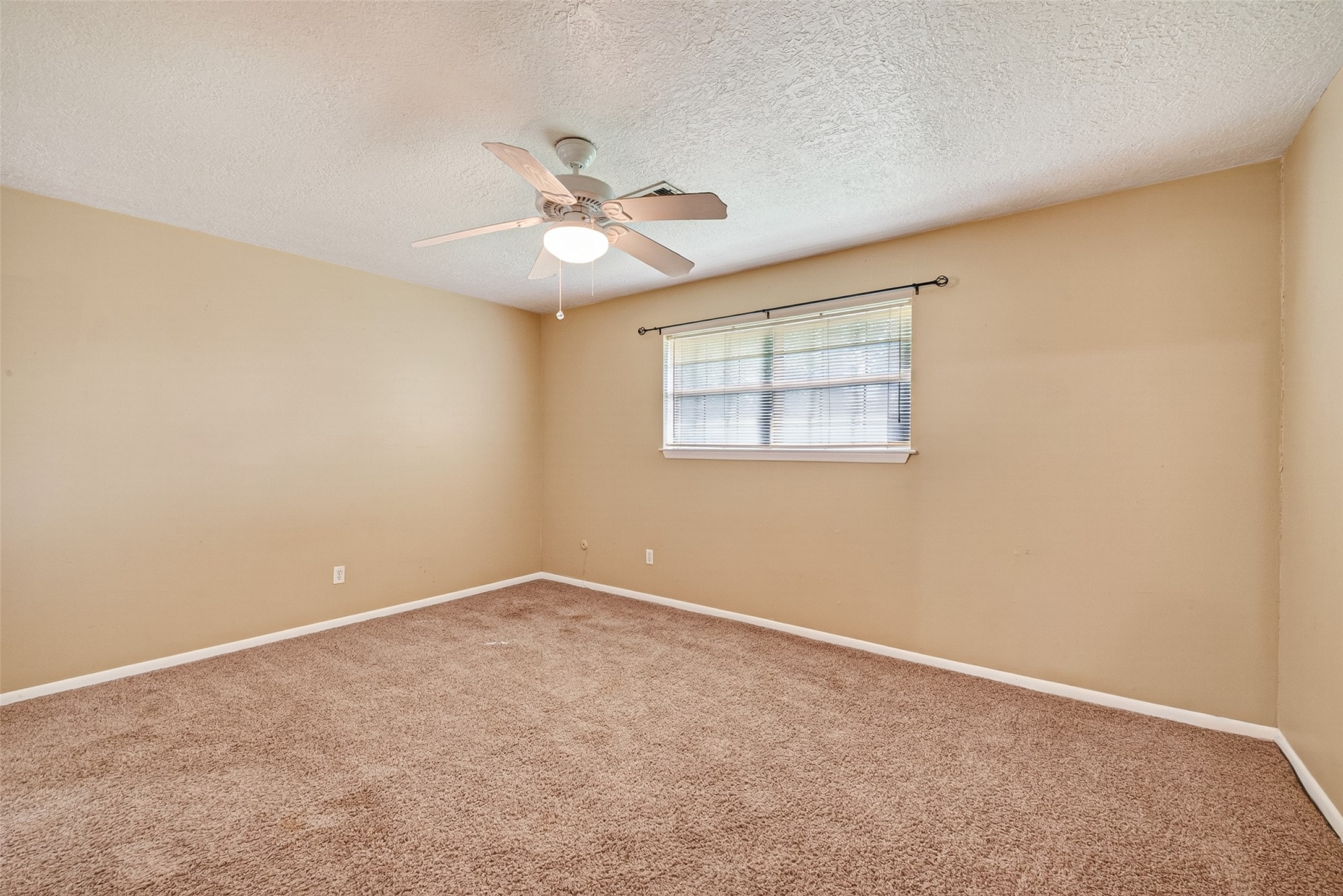 210 Woodhaven Street Property Photo 30