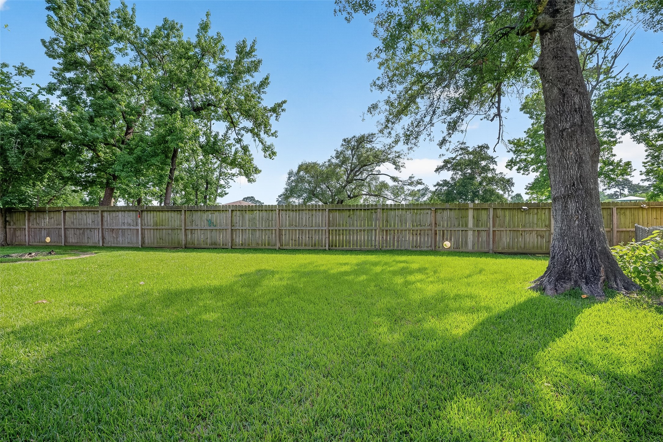 210 Woodhaven Street Property Photo 43