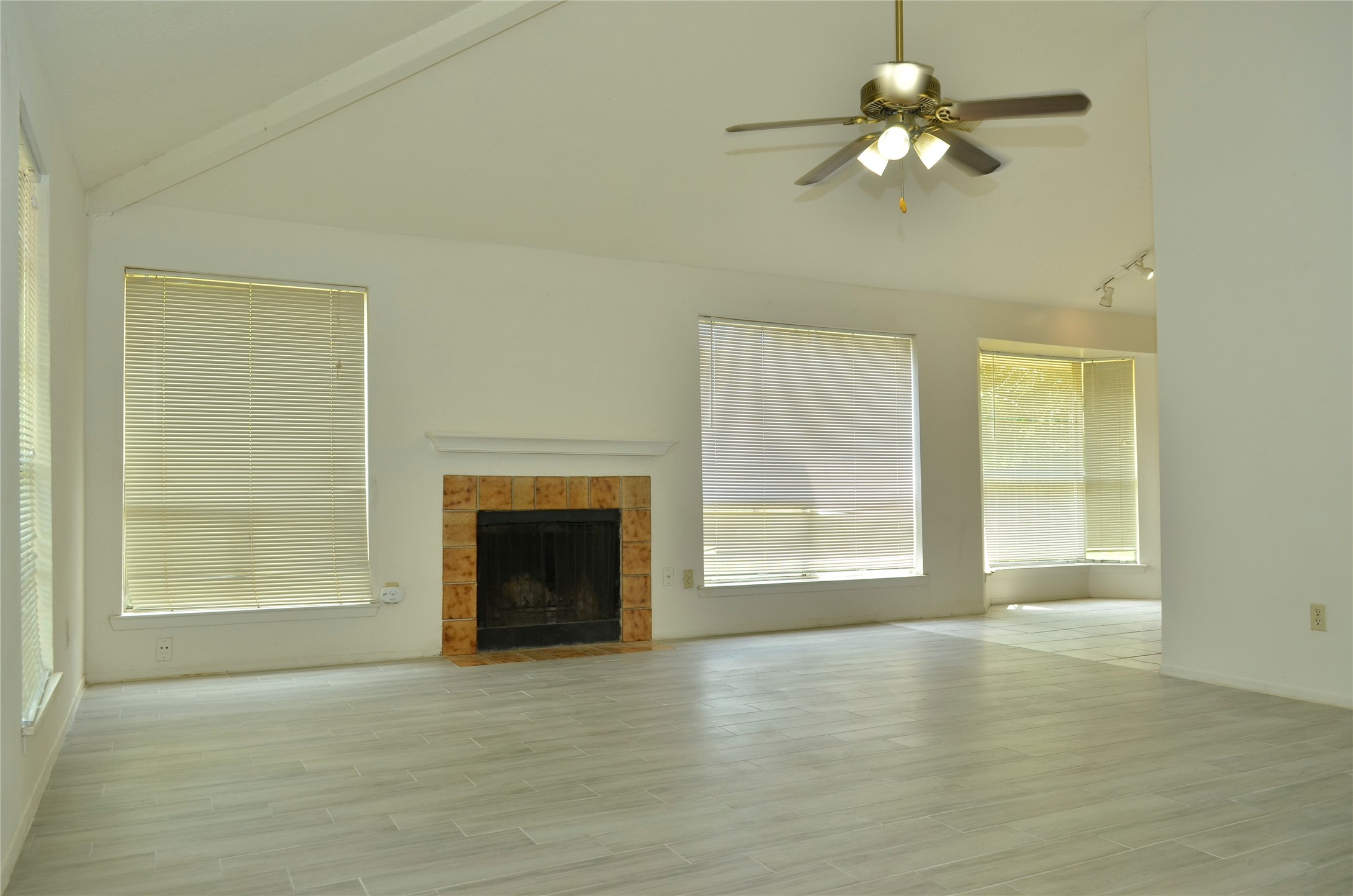 10094 Ash Fork Drive Property Photo 3