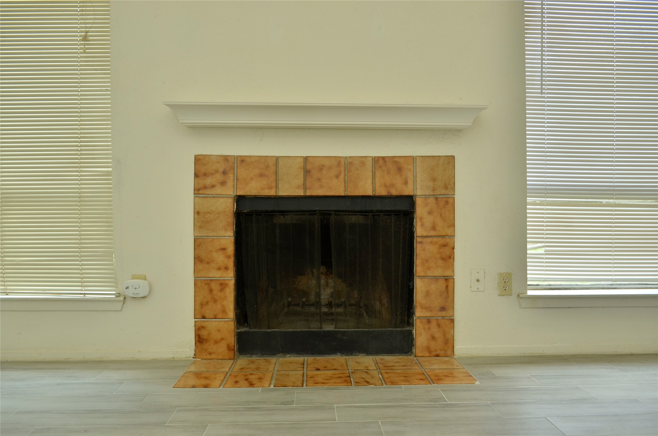 10094 Ash Fork Drive Property Photo 5