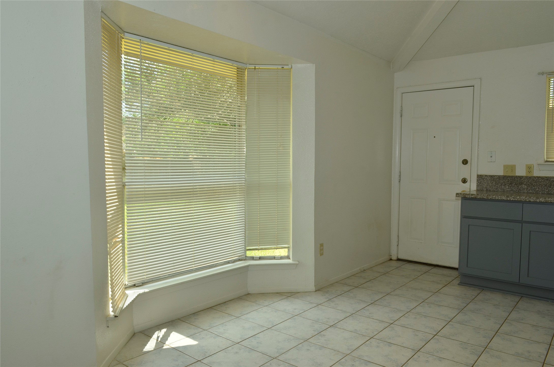 10094 Ash Fork Drive Property Photo 6