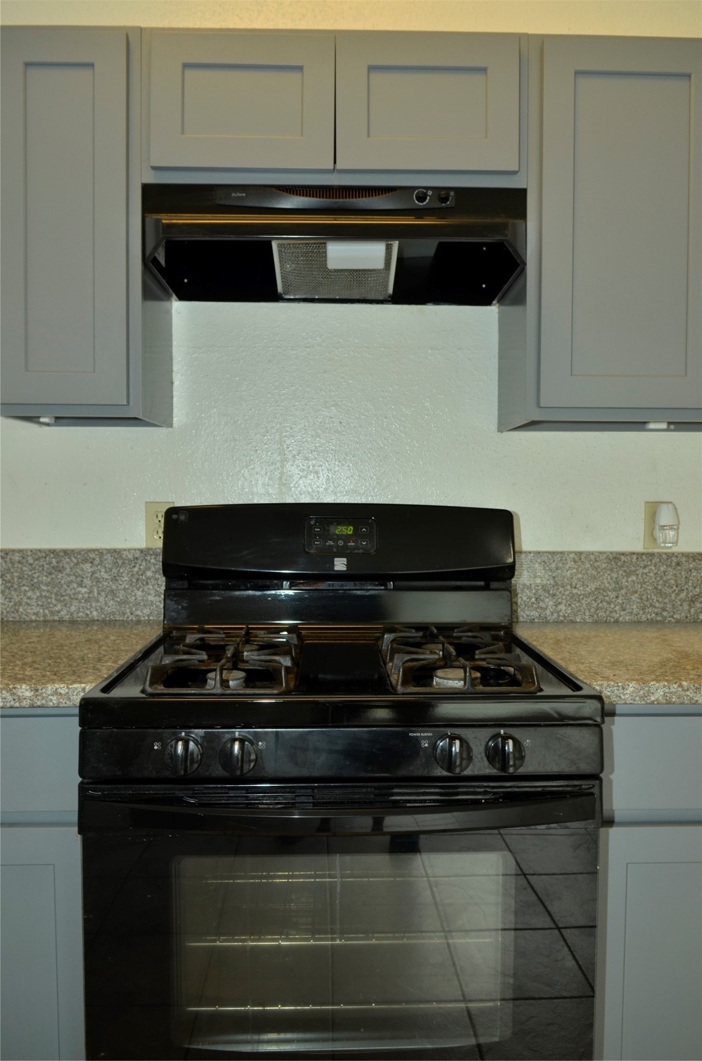 10094 Ash Fork Drive Property Photo 9