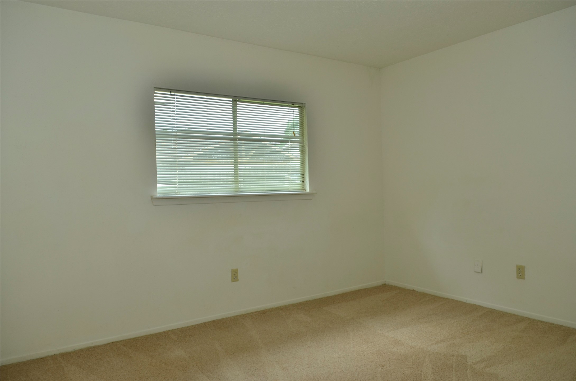 10094 Ash Fork Drive Property Photo 12