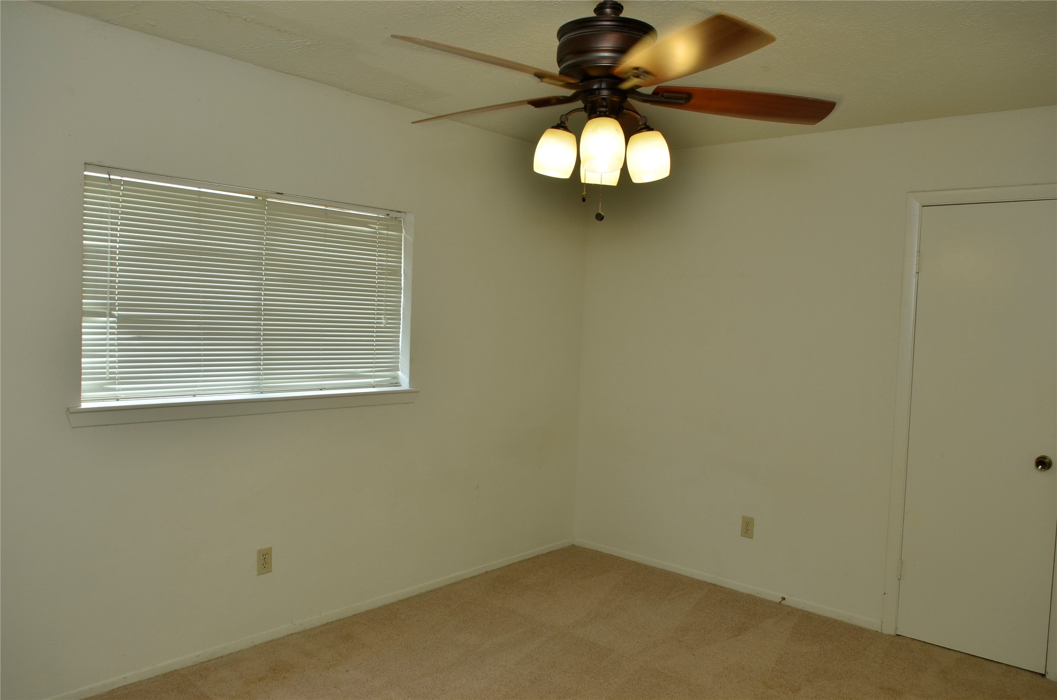 10094 Ash Fork Drive Property Photo 13