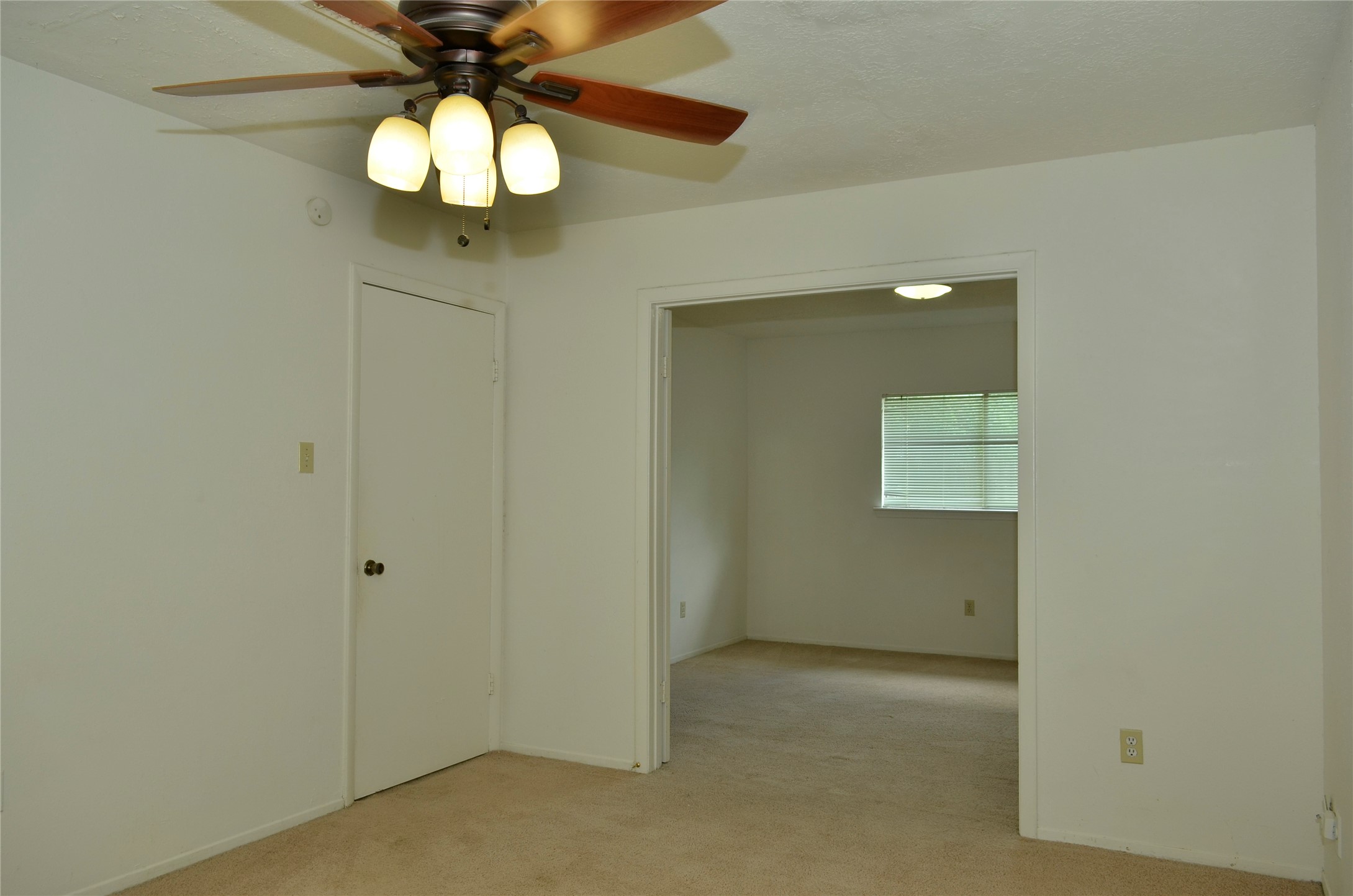 10094 Ash Fork Drive Property Photo 14