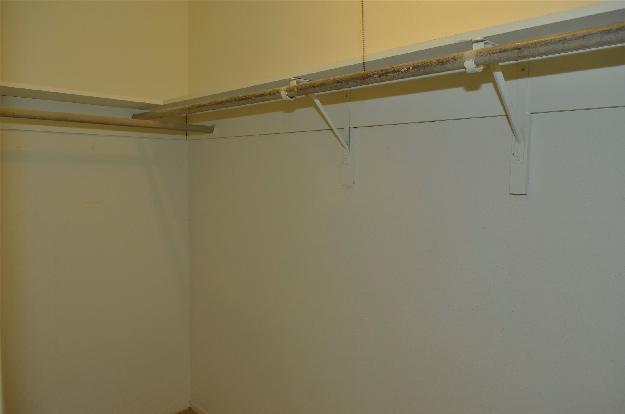 10094 Ash Fork Drive Property Photo 15
