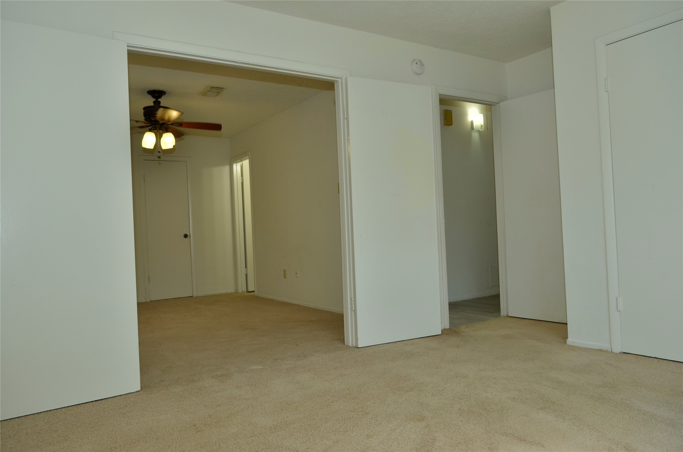 10094 Ash Fork Drive Property Photo 21