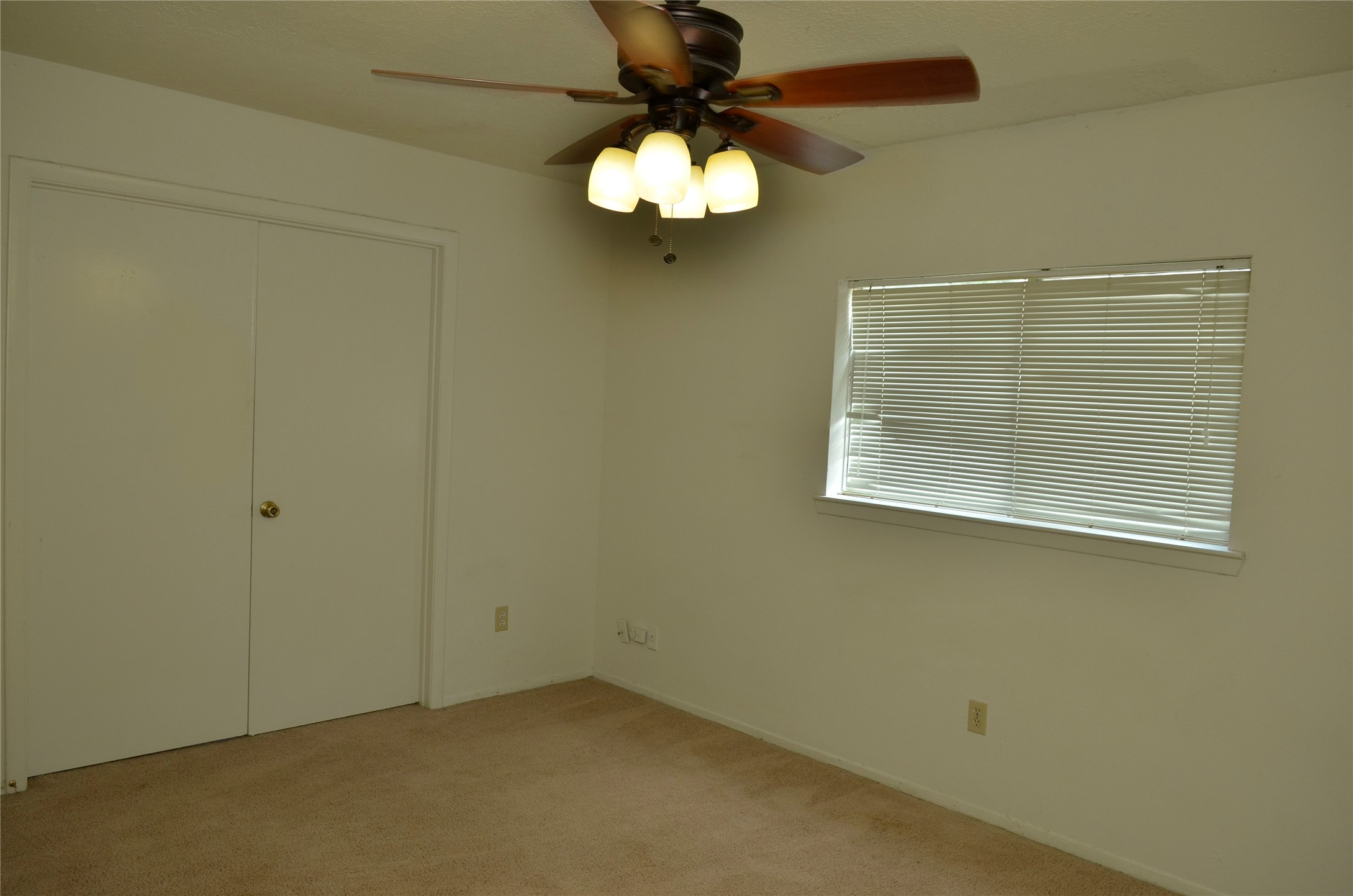 10094 Ash Fork Drive Property Photo 23