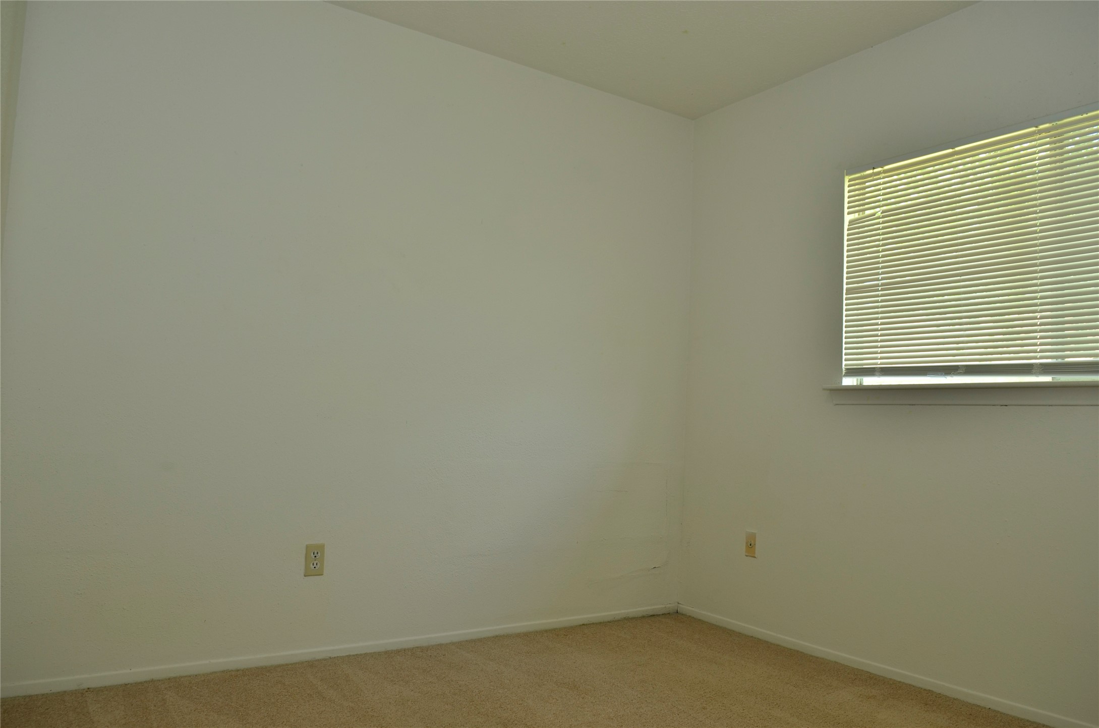 10094 Ash Fork Drive Property Photo 25