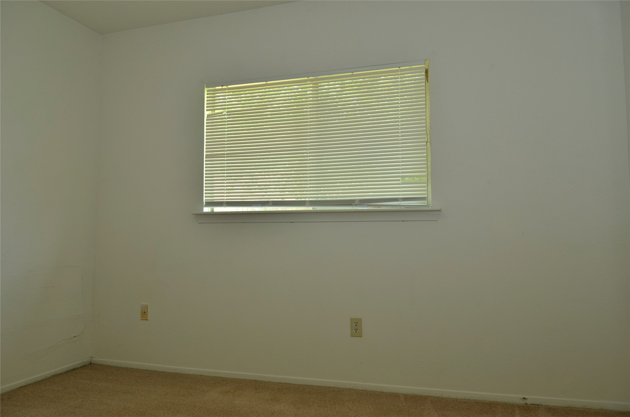 10094 Ash Fork Drive Property Photo 26