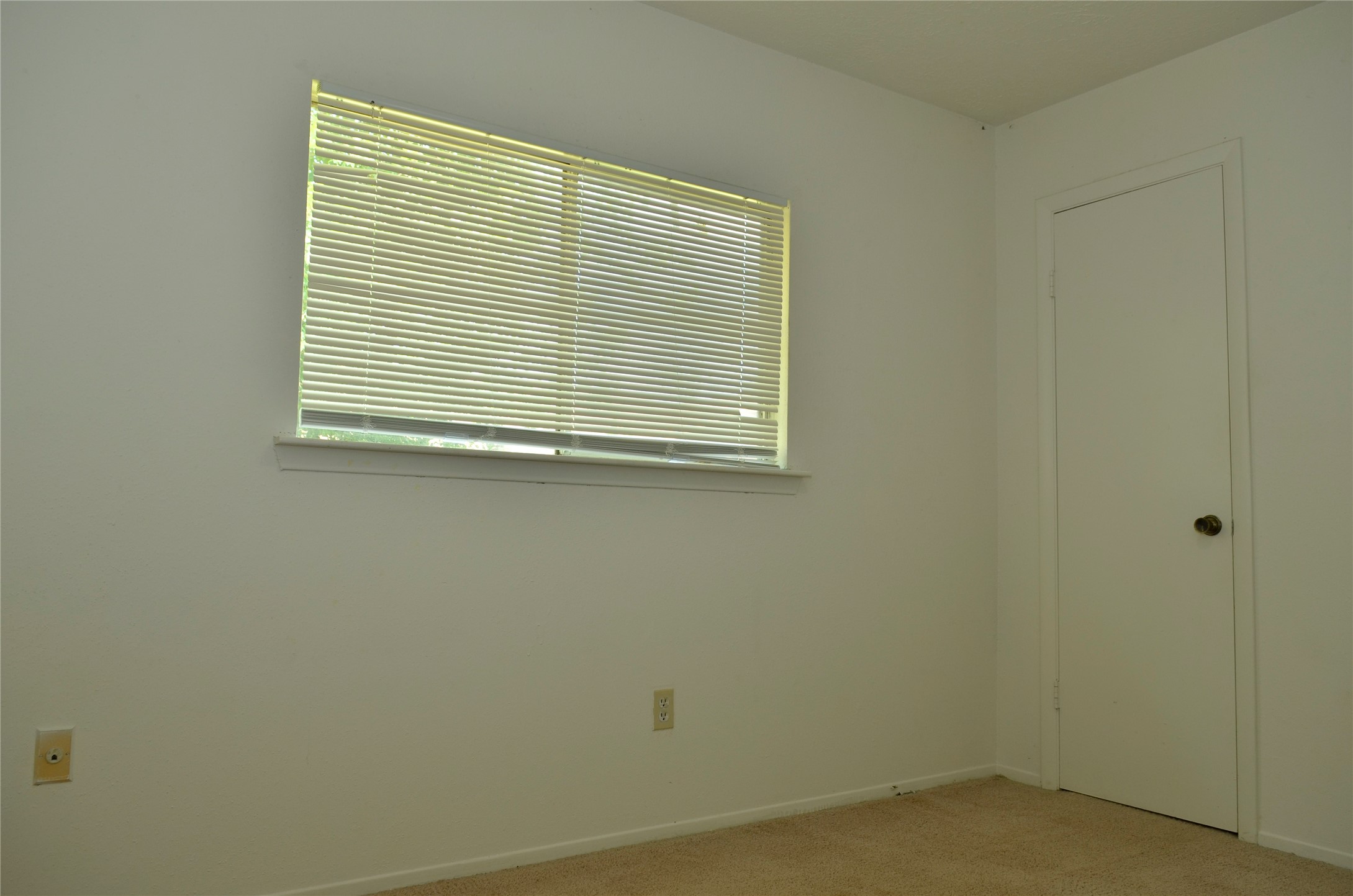 10094 Ash Fork Drive Property Photo 27