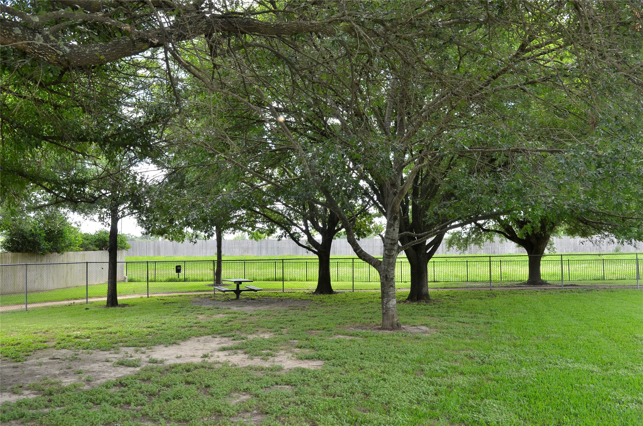 10094 Ash Fork Drive Property Photo 38