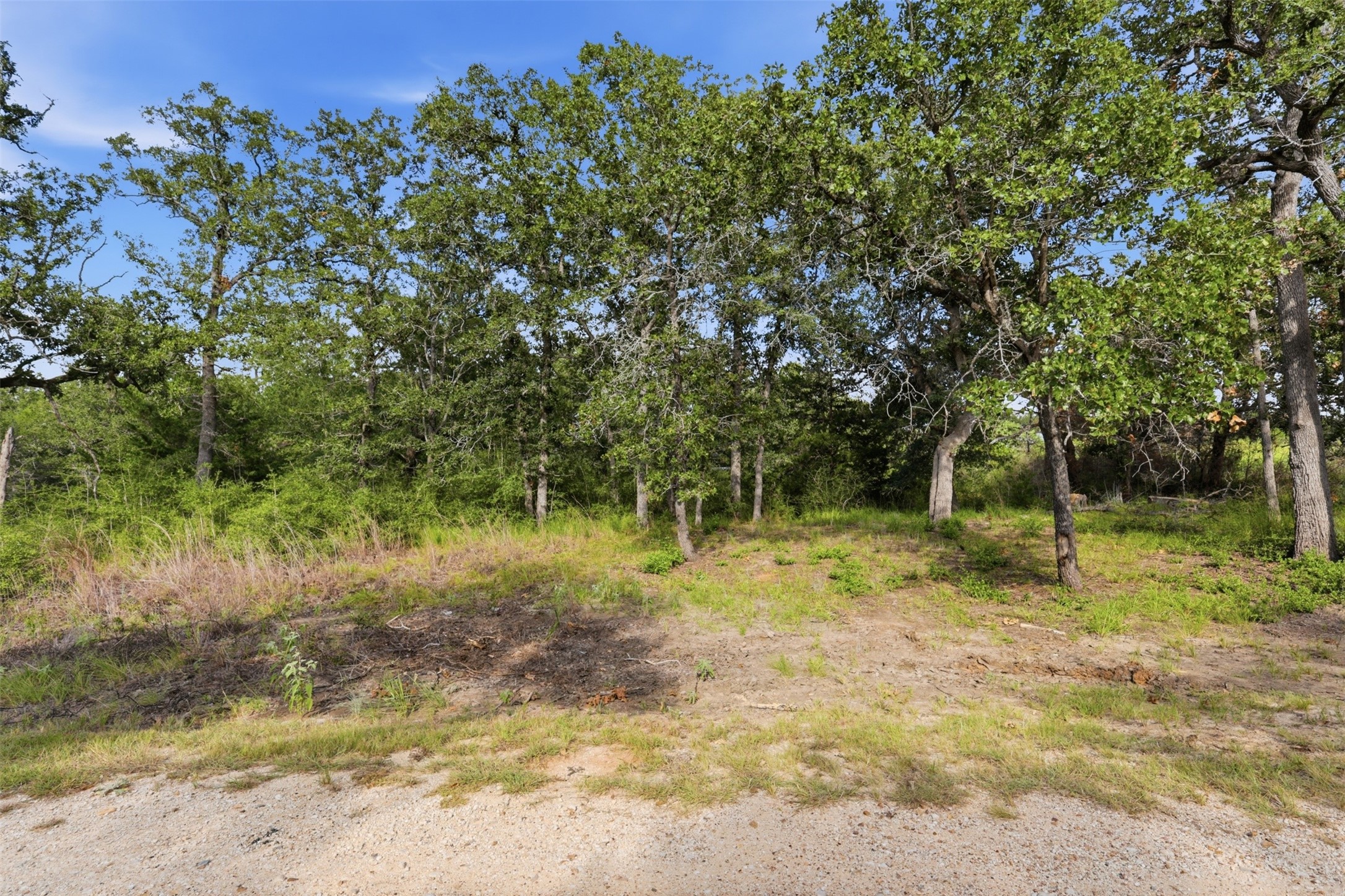00 Bengals Bend Property Photo 3