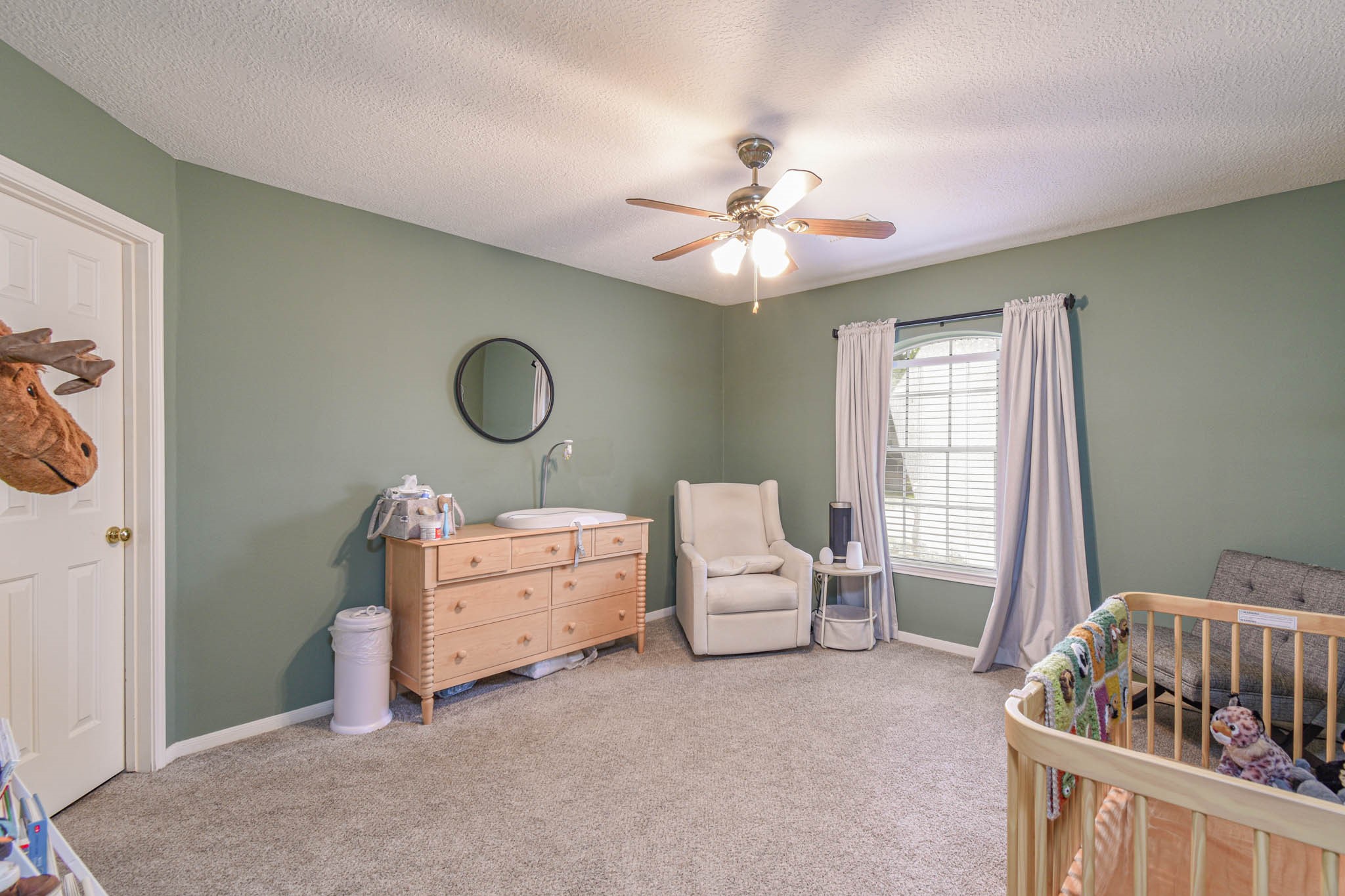 12518 Cranes Park Street Property Photo 23