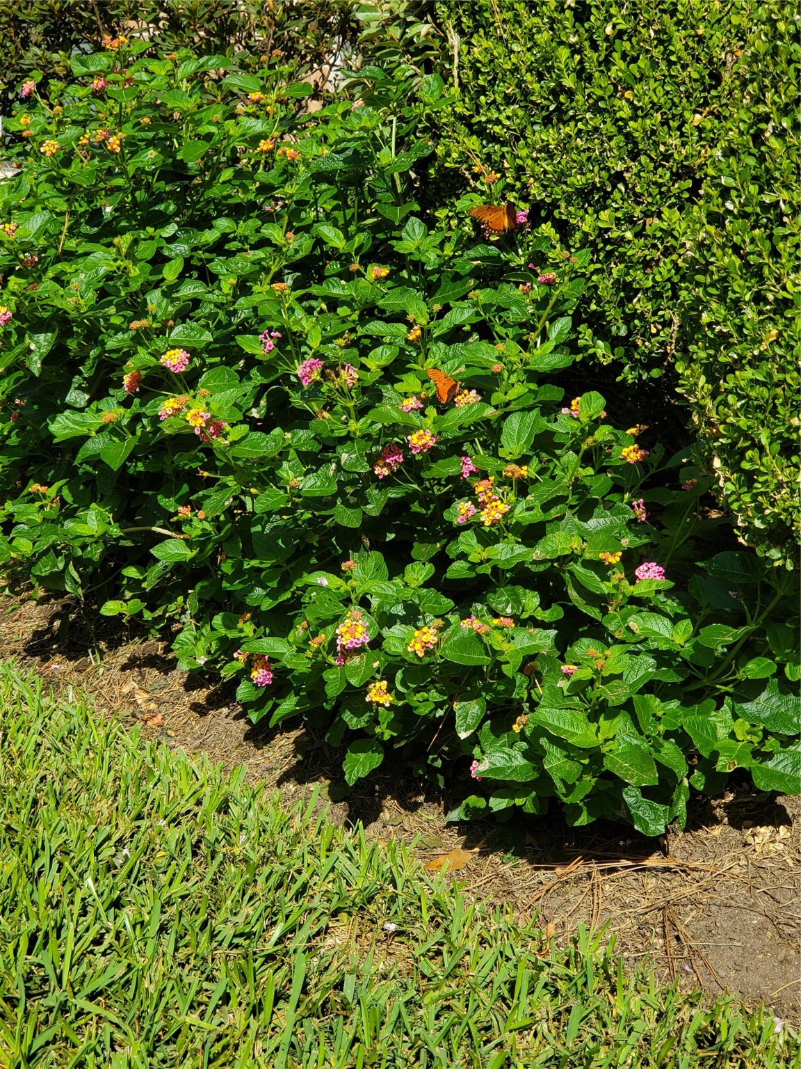 14555 Wunderlich Drive Drive 2912 Property Photo 16