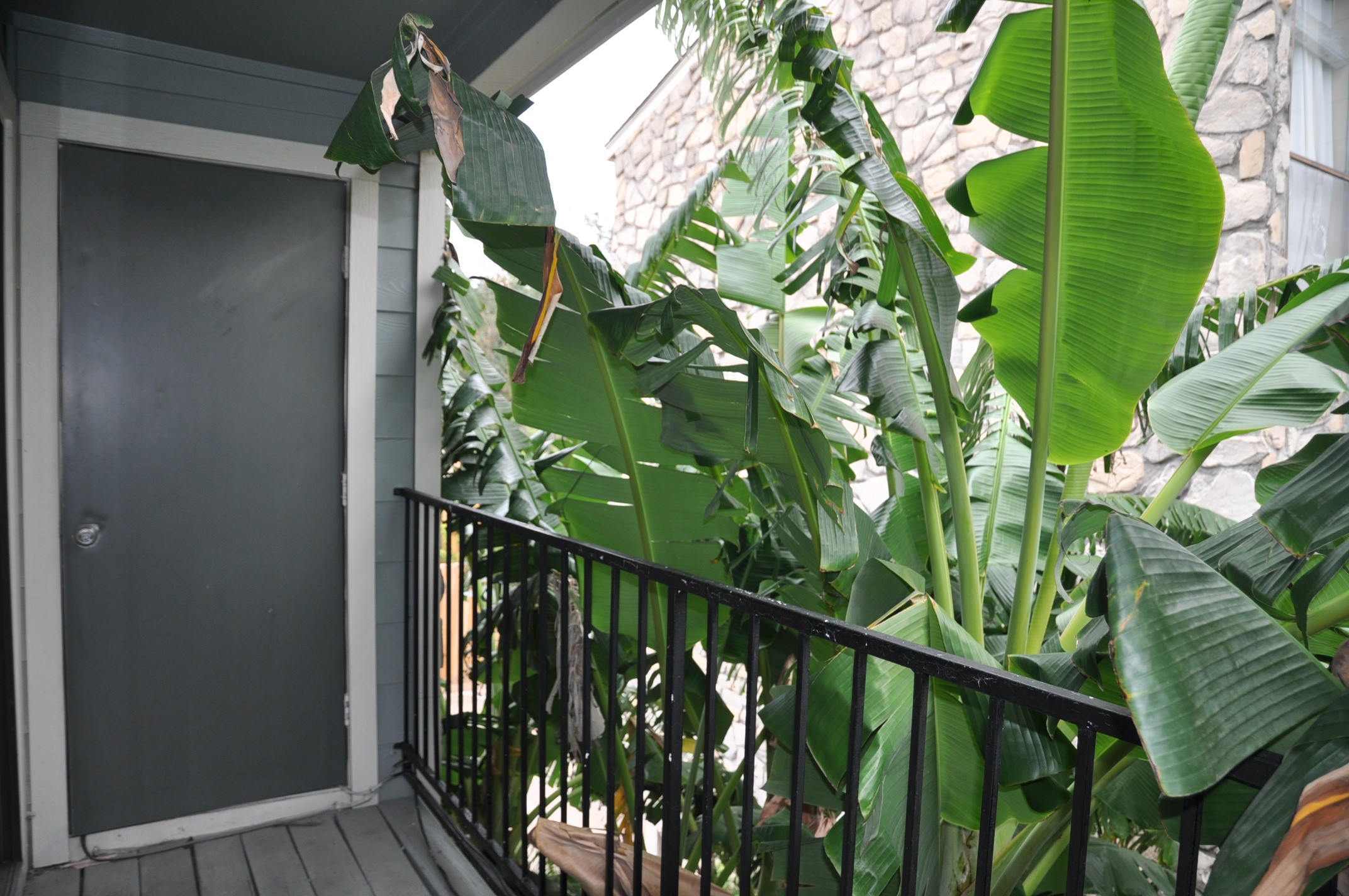 3754 Tanglewilde Street C16 Property Photo 4