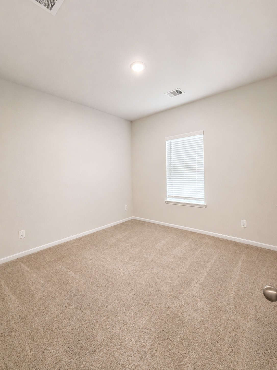 8308 Bristlecone Pine Way Property Photo 11