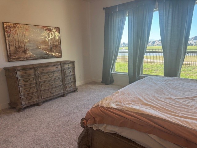 3202 Marlene Meadow Way Property Photo 16