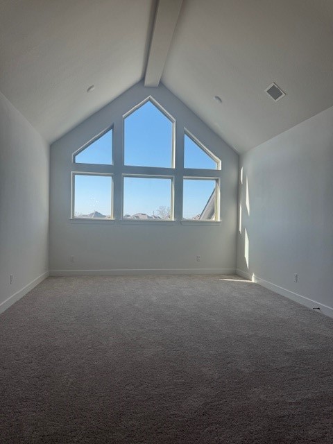 3202 Marlene Meadow Way Property Photo 27