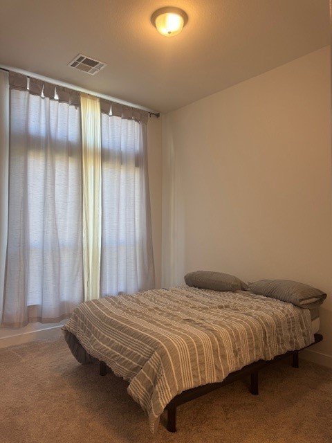 3202 Marlene Meadow Way Property Photo 37