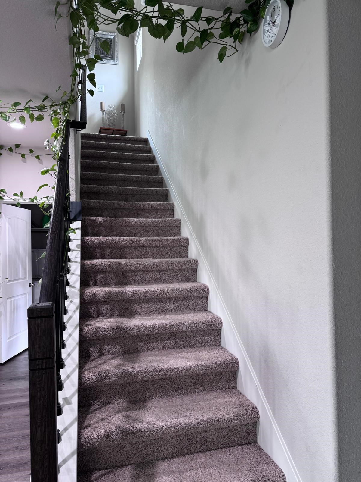 24718 Bastiani Canvas Lane Property Photo 3