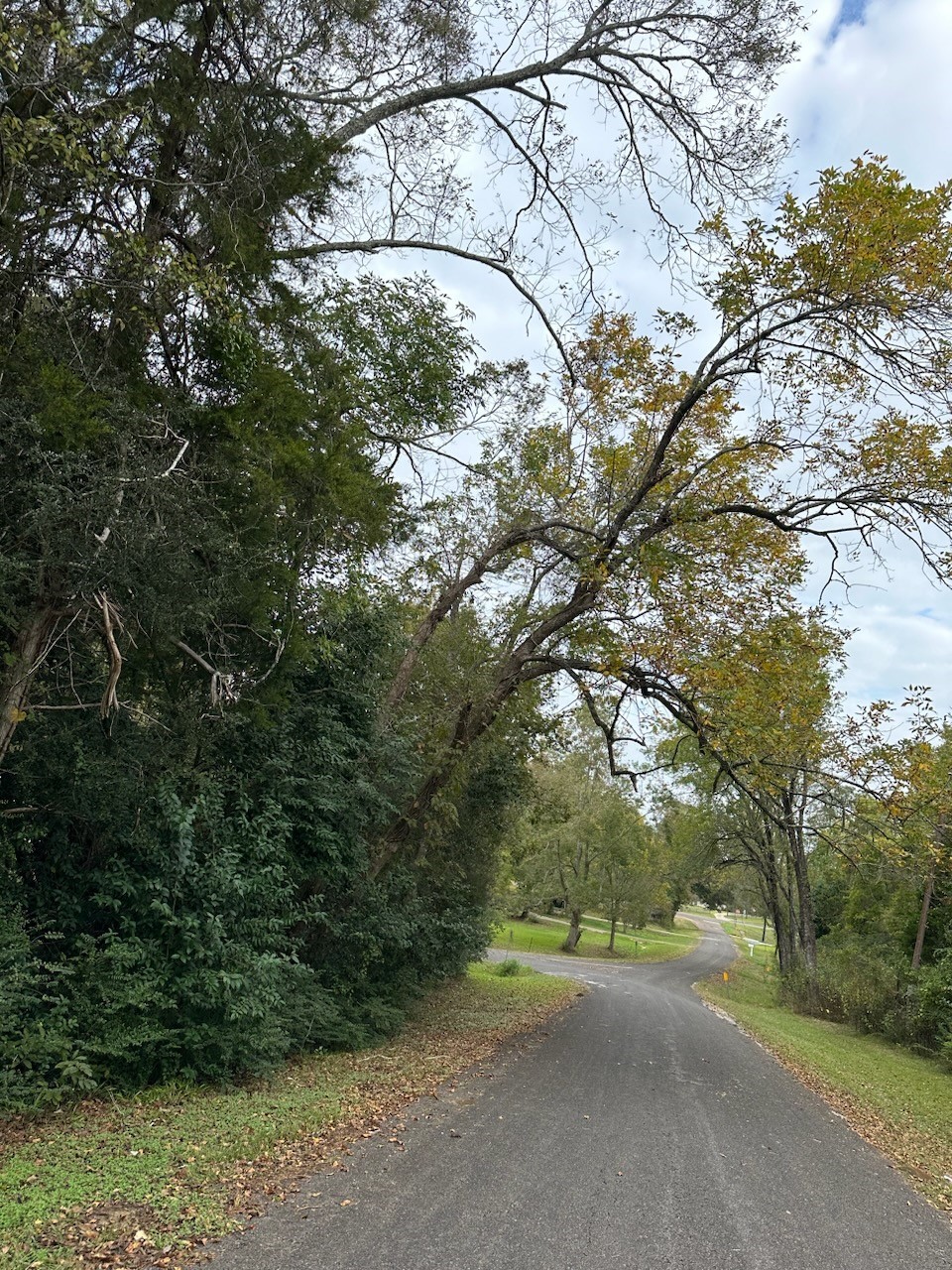 0 Reeves Cemetery Road Property Photo 1