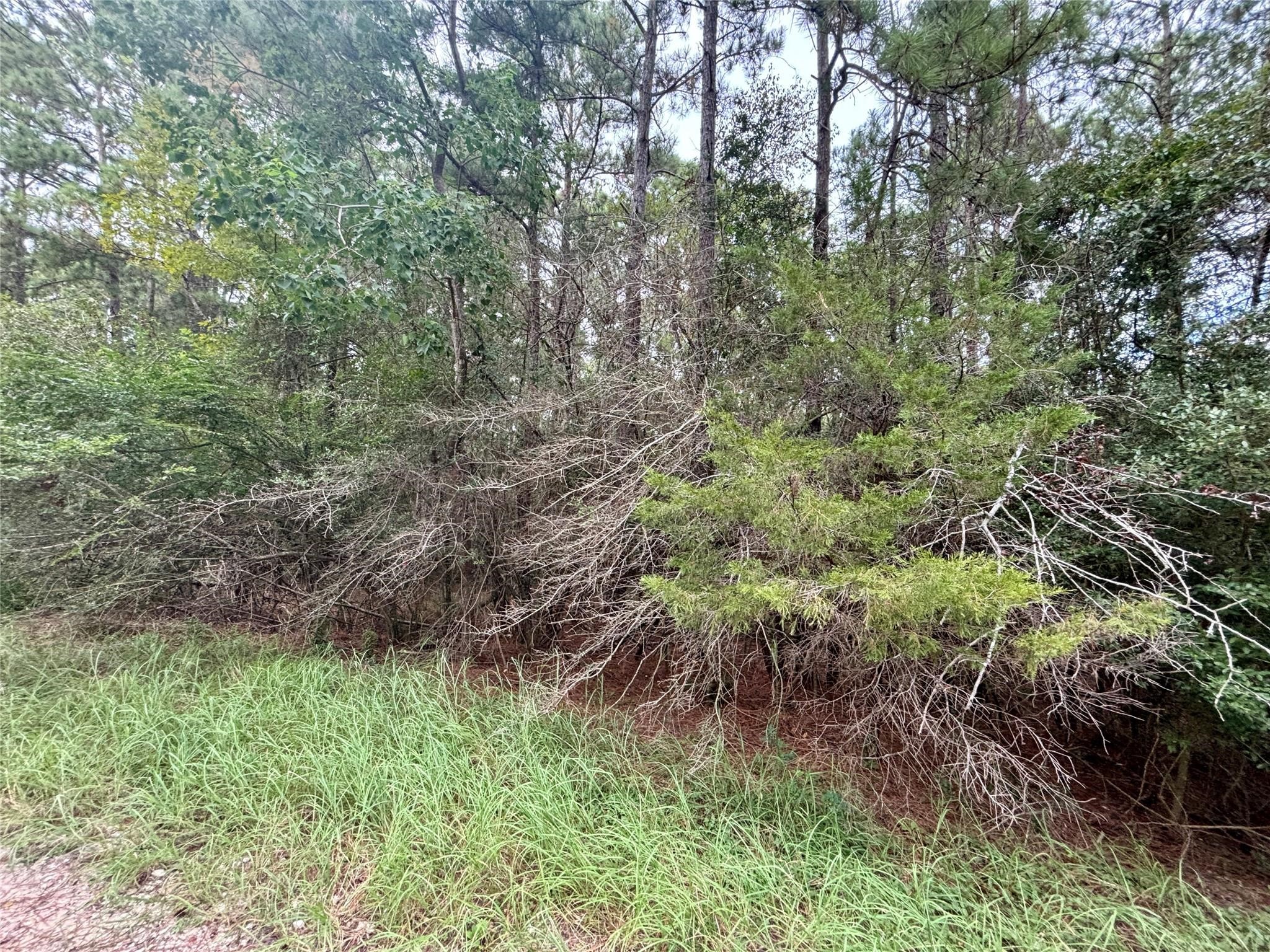 Tbd Parkview Drive Property Photo 2