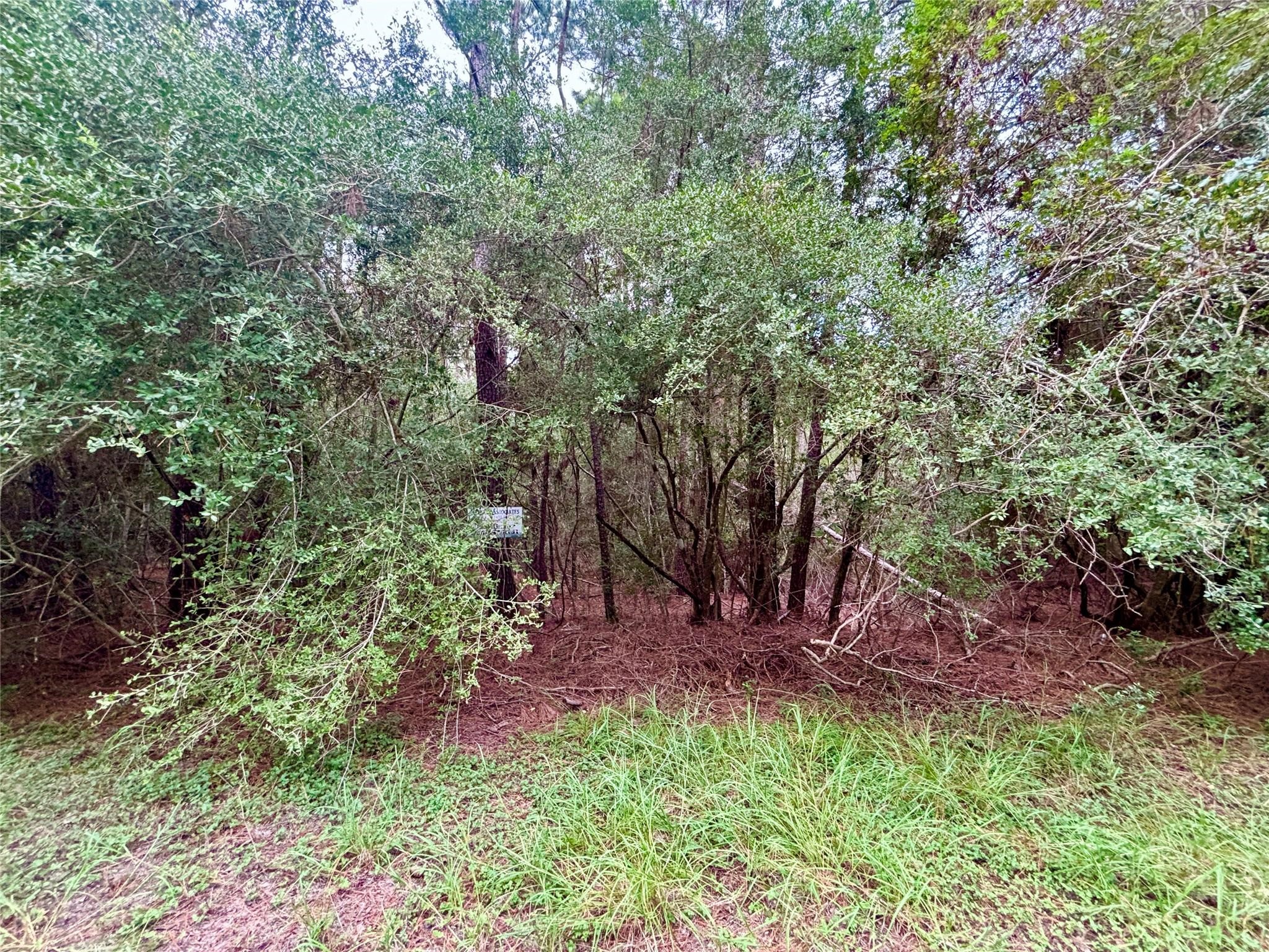 Tbd Parkview Drive Property Photo 3