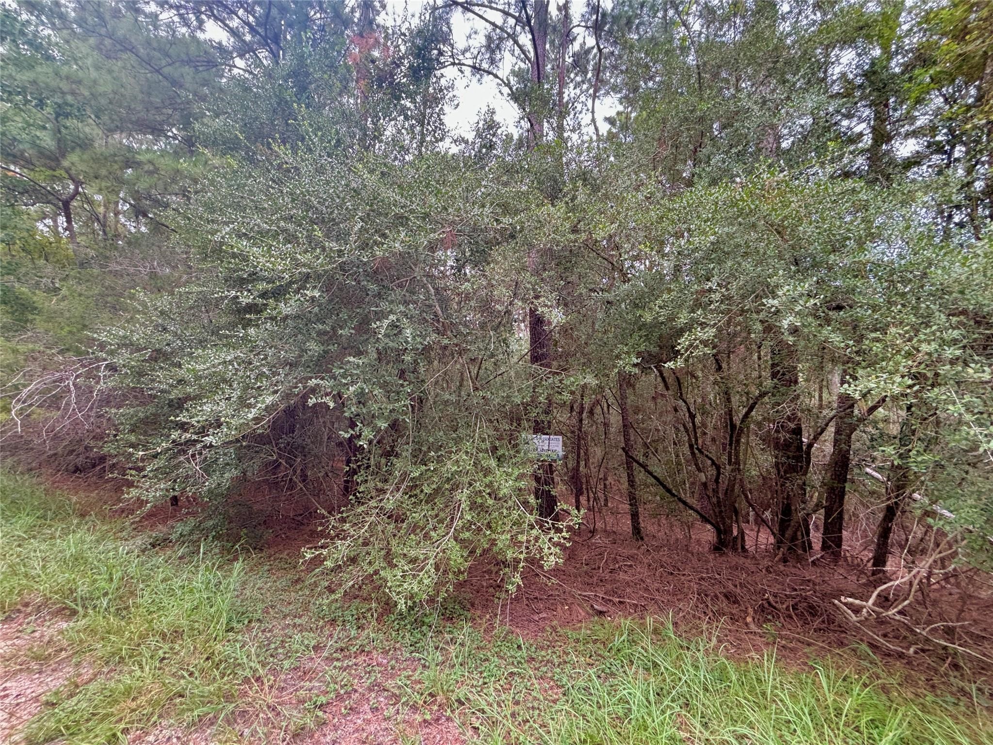 Tbd Parkview Drive Property Photo 4