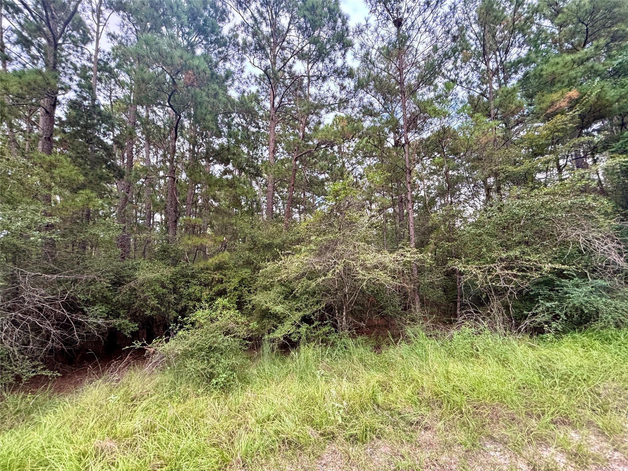 Tbd Parkview Drive Property Photo 8