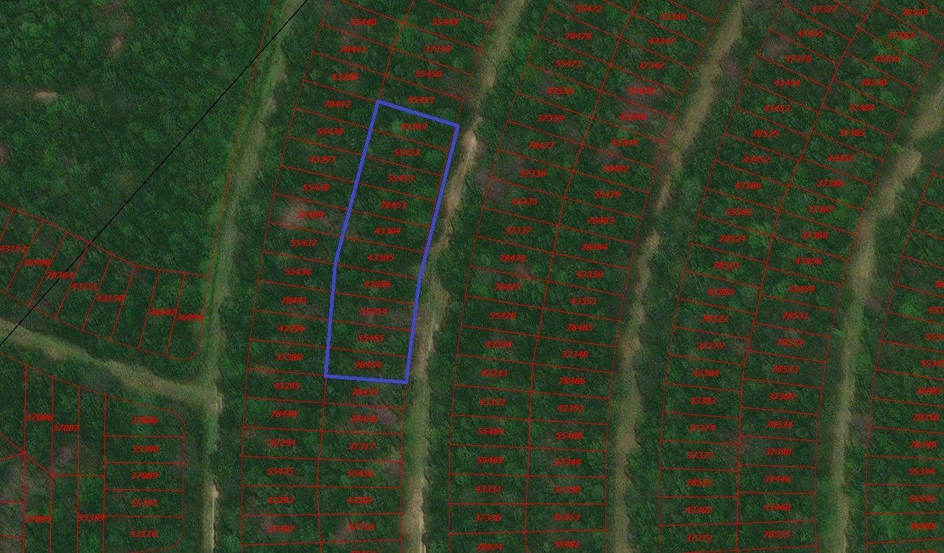 Tbd Wood Forest Property Photo 1