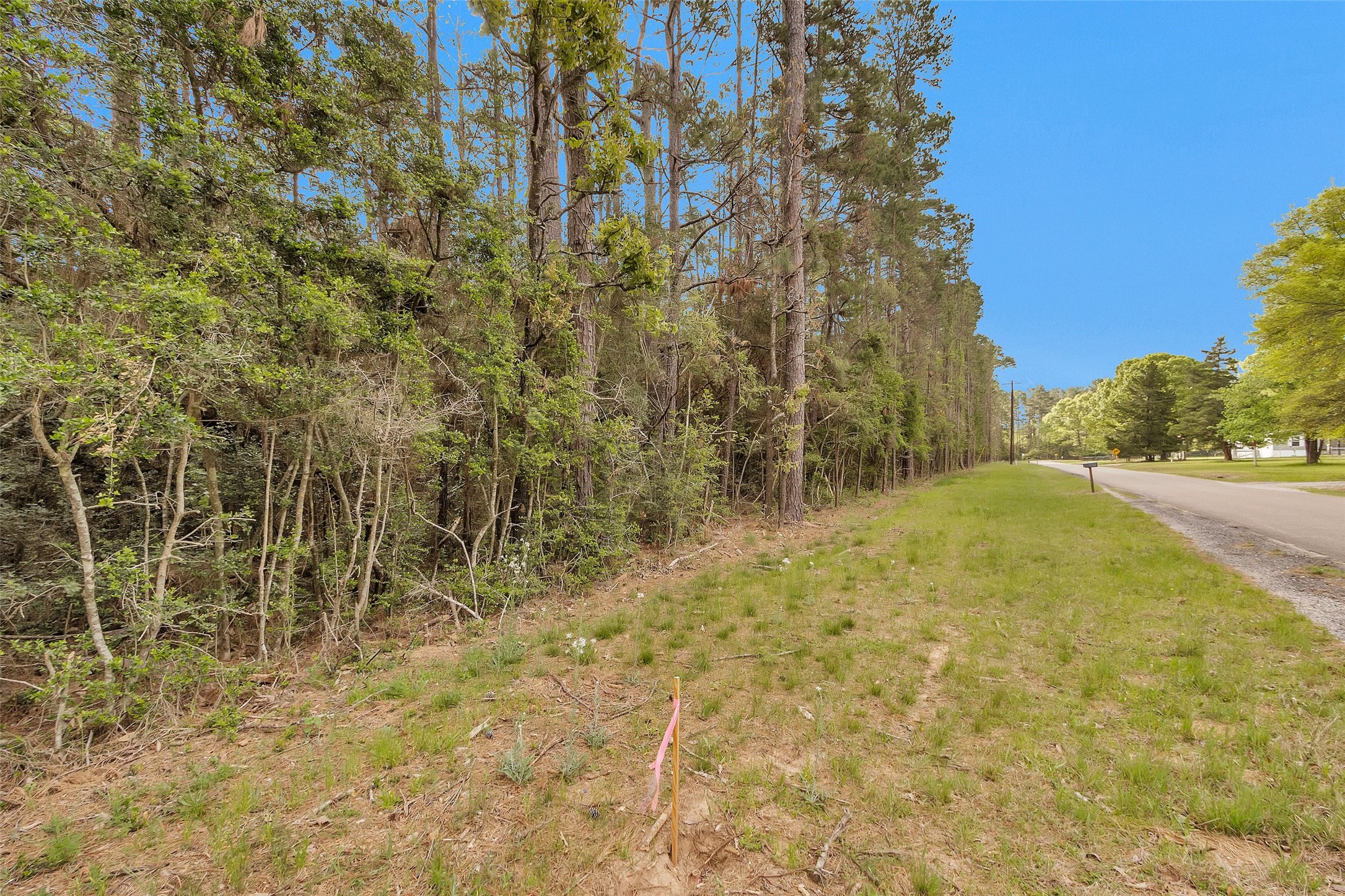 Tbd Tr5 Cedar Lane Loop Property Photo 8