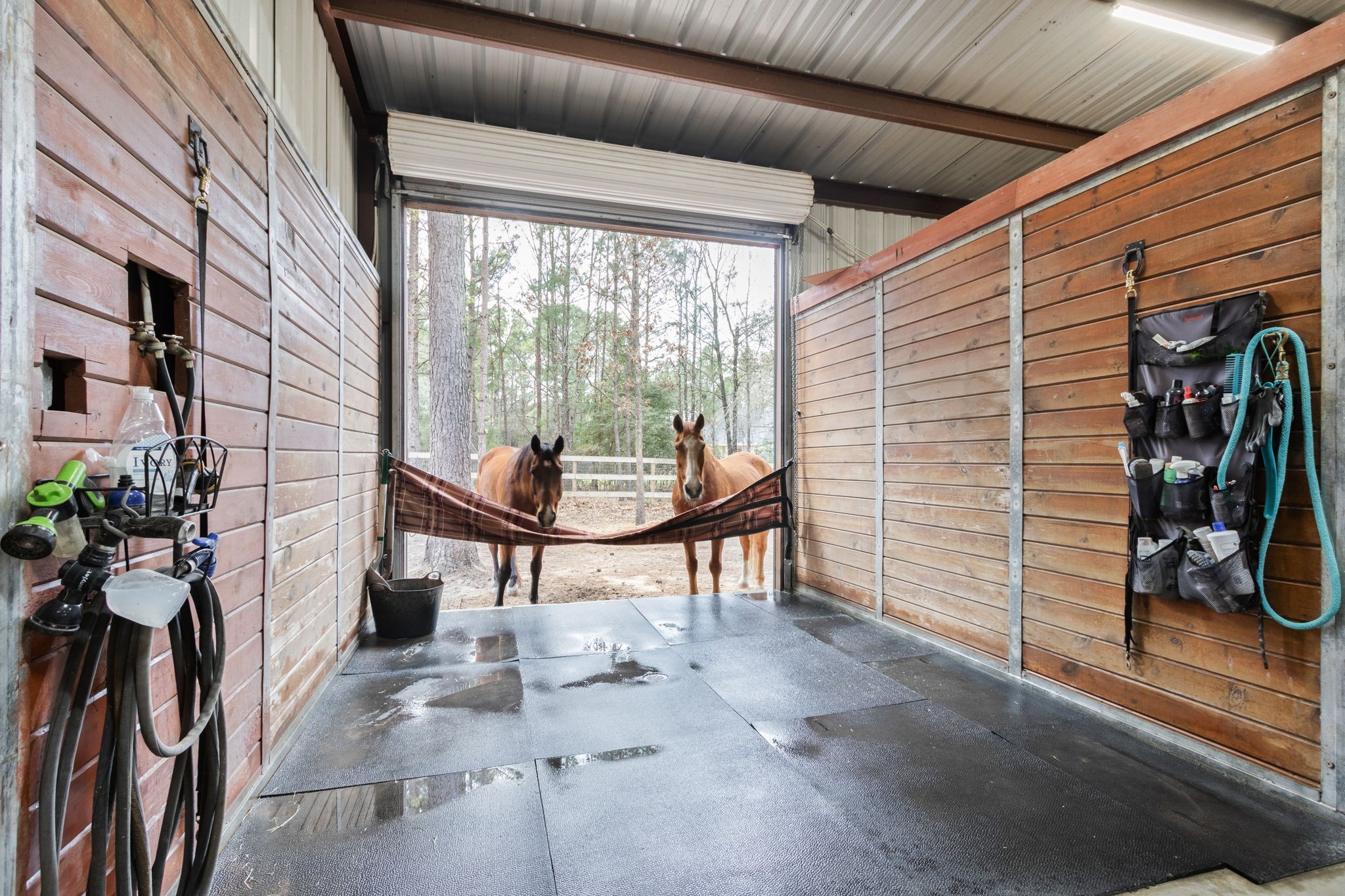 26231 Crown Ranch Boulevard Property Photo 40