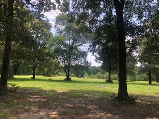 000 Counts Road Property Photo 3