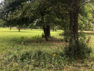 000 Counts Road Property Photo 4