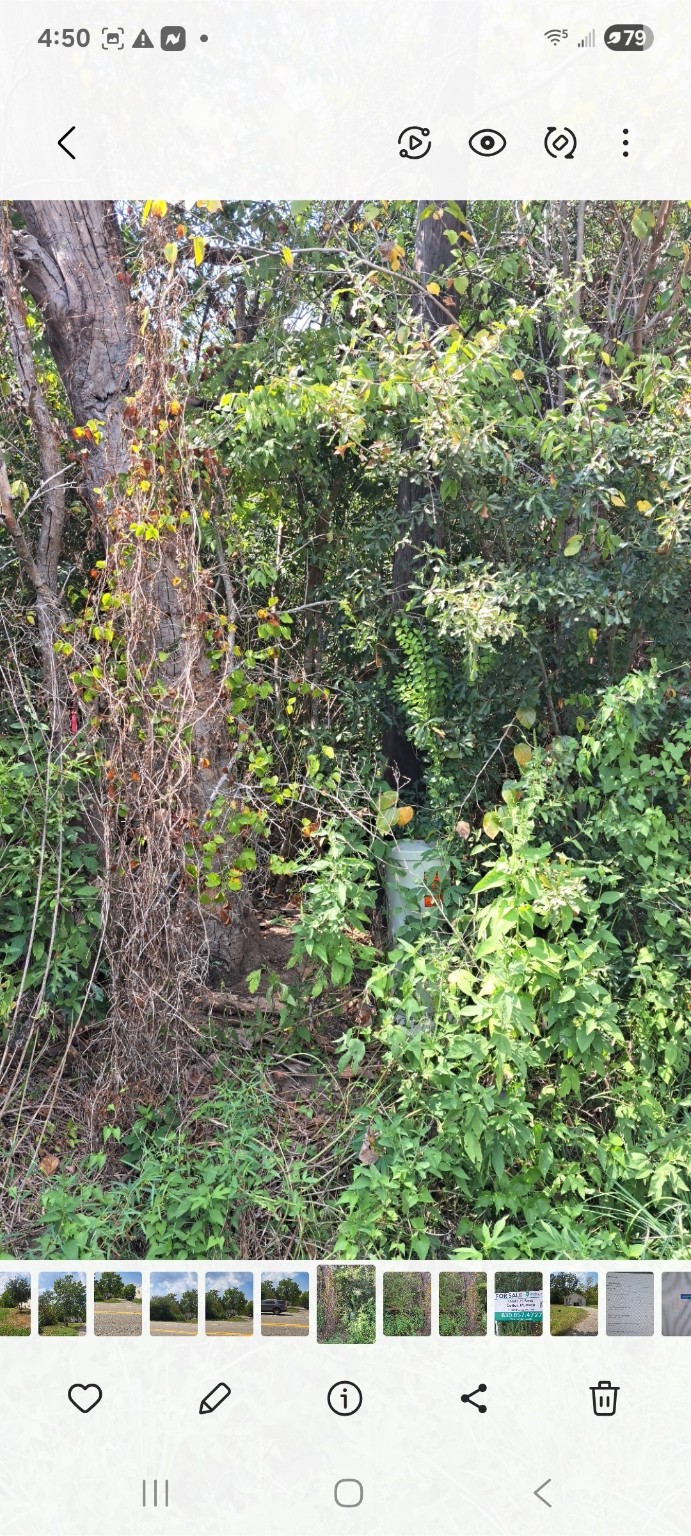 838 Fm 1489 Road Property Photo 5
