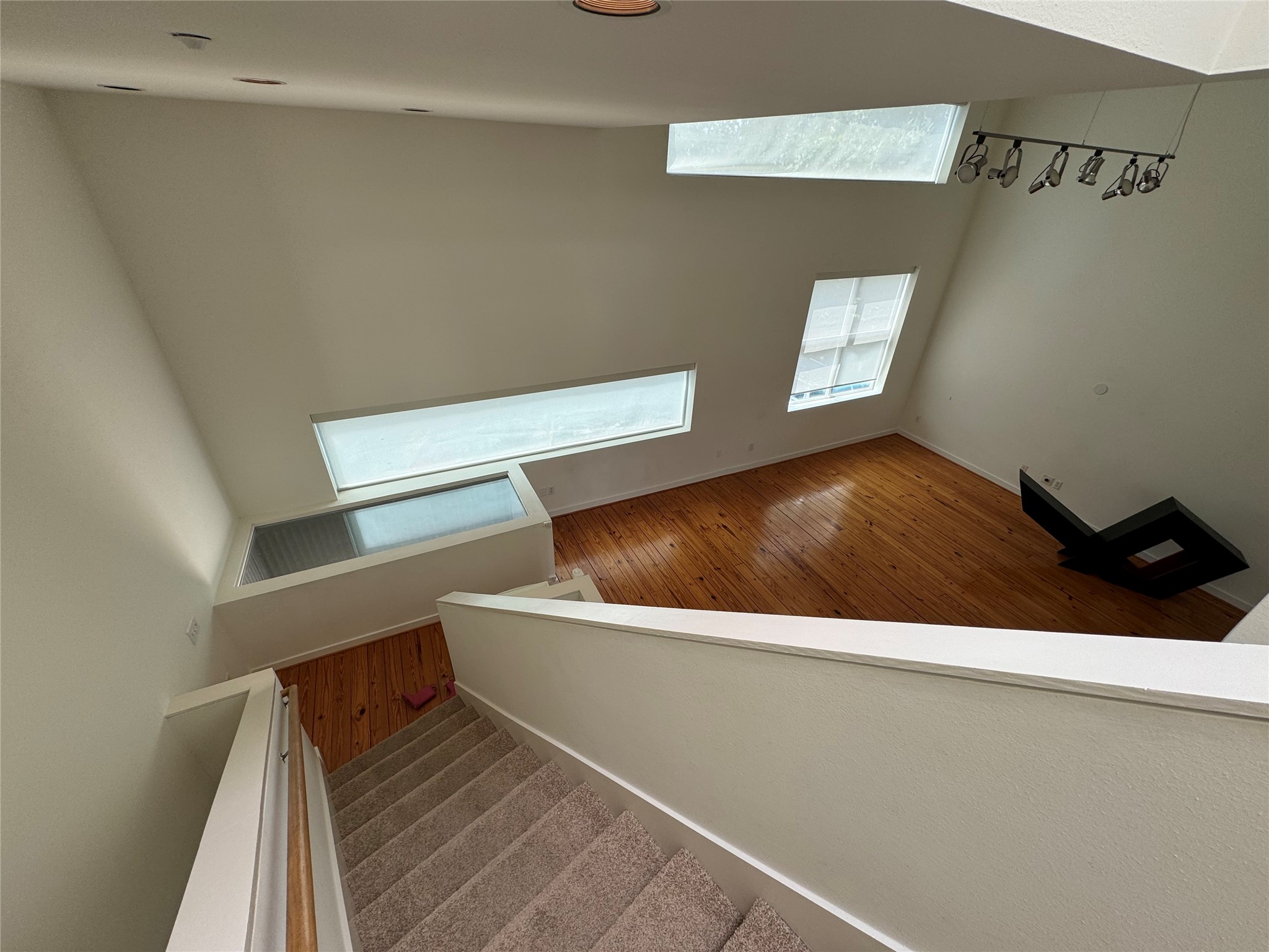 4516 Montrose Boulevard Property Photo 13