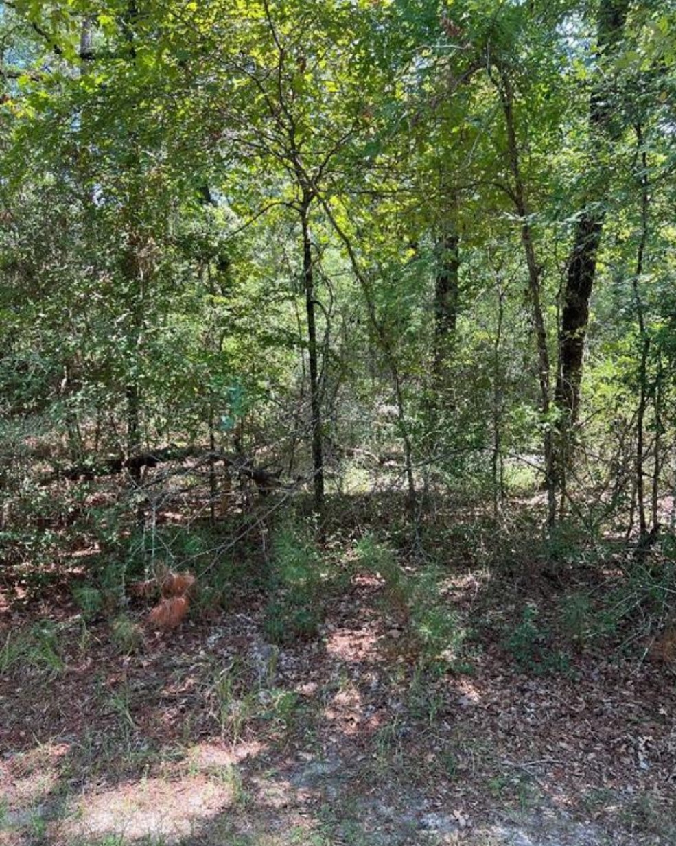 37 Landing Way Property Photo 1